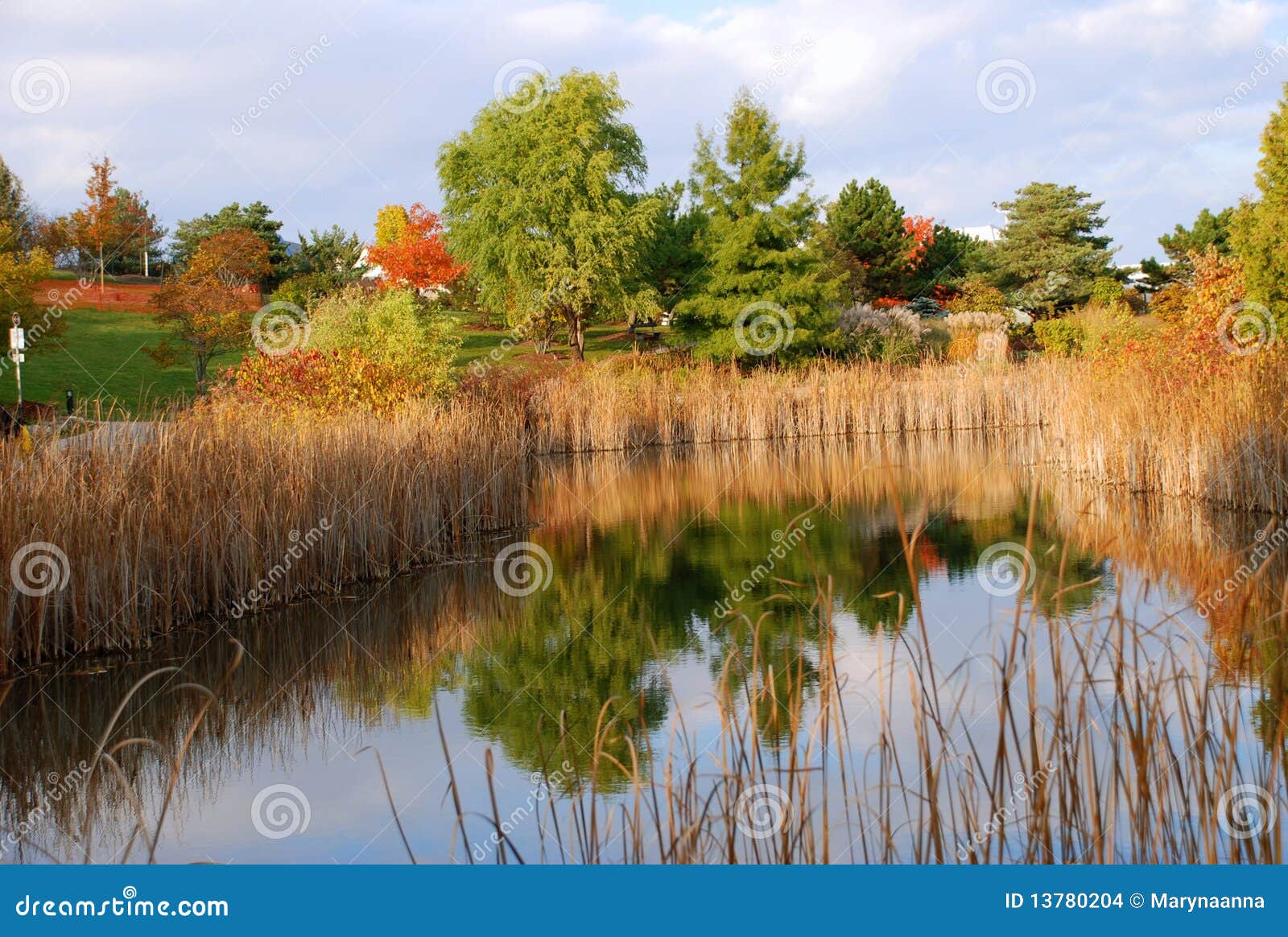 Humber Park, Toronto stock photo. Image of humber, lake 13780204