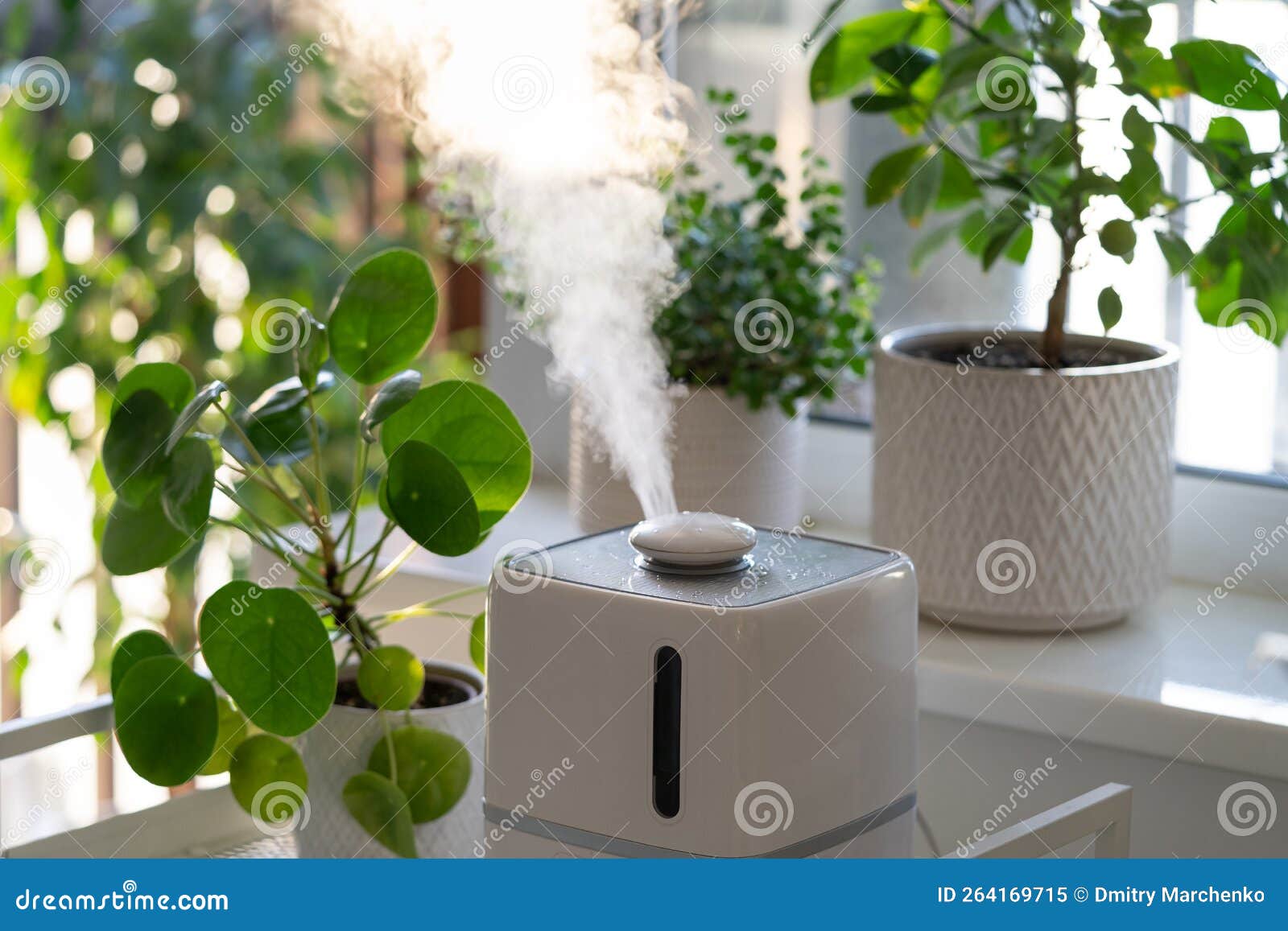 Humidificateur Pour Plantes Intérieures. Vaporisateur De Vapeur Travaillant  à L'intérieur De L'appartement Pour Hydrater Les Plant Image stock - Image  du humidité, intérieur: 264169715