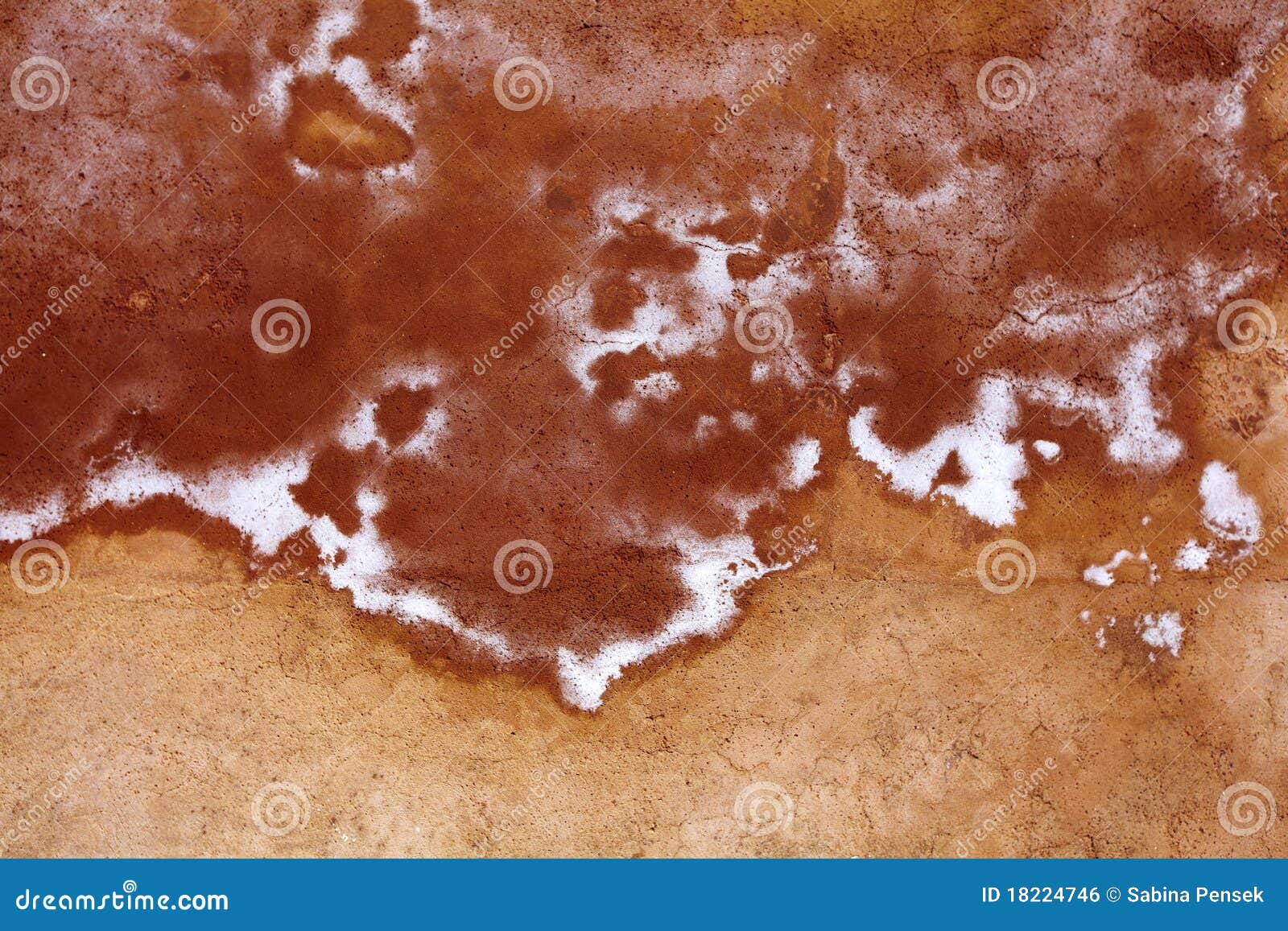 Humidity Mold on the Walls of the Building Stock Photo Image of black
