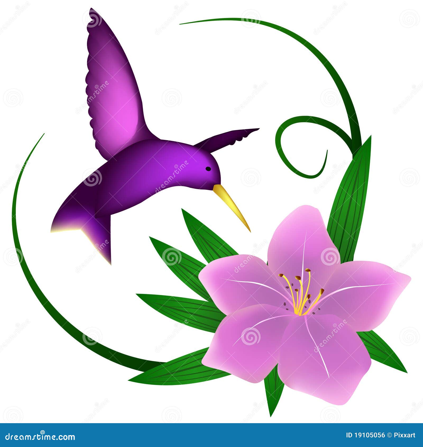 Hummingbird and lily stock vector. Illustration of blossom 19105056