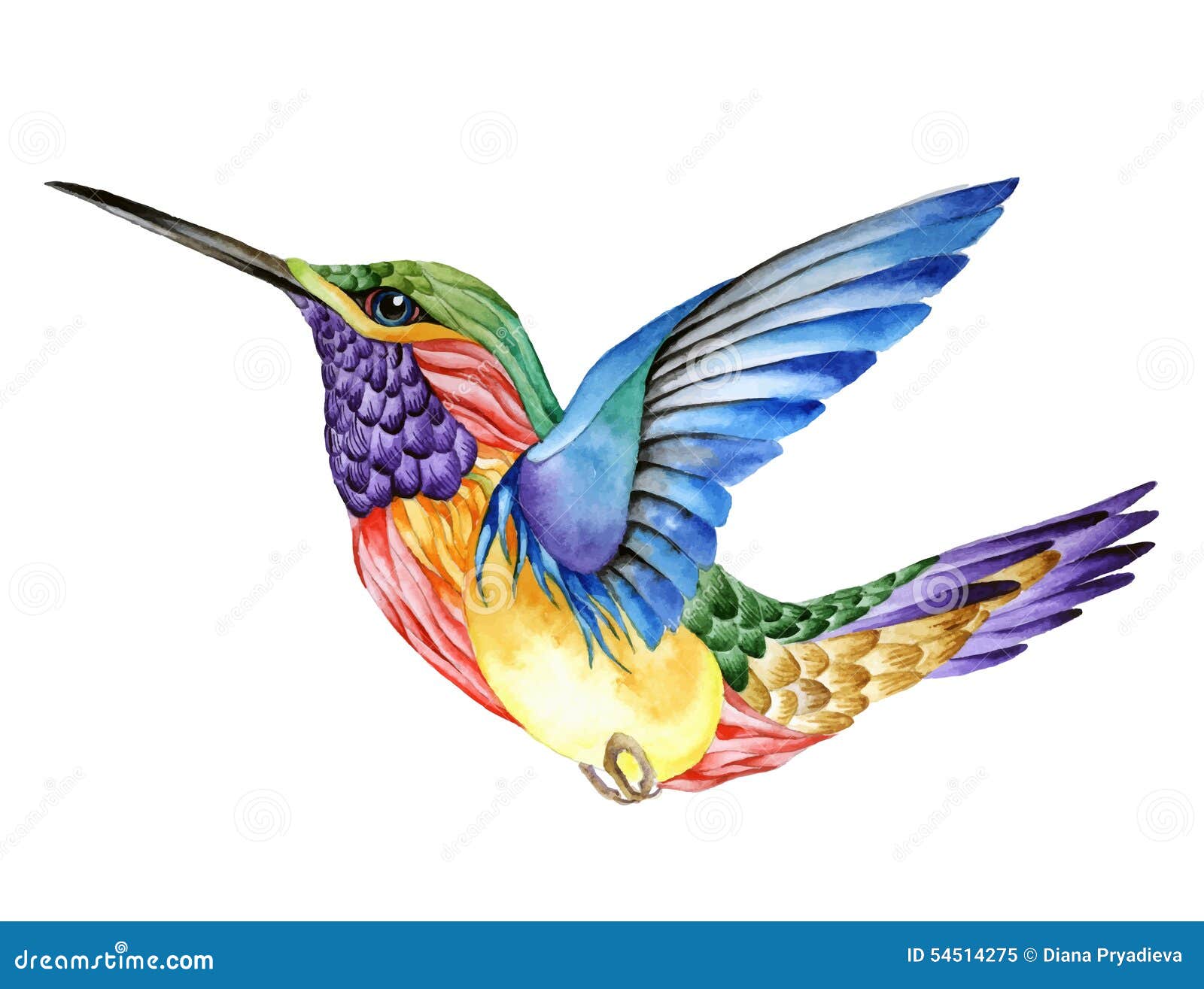 Hummingbird Tattoo Stock Illustrations – 1,232 Hummingbird Tattoo Stock  Illustrations, Vectors & Clipart - Dreamstime