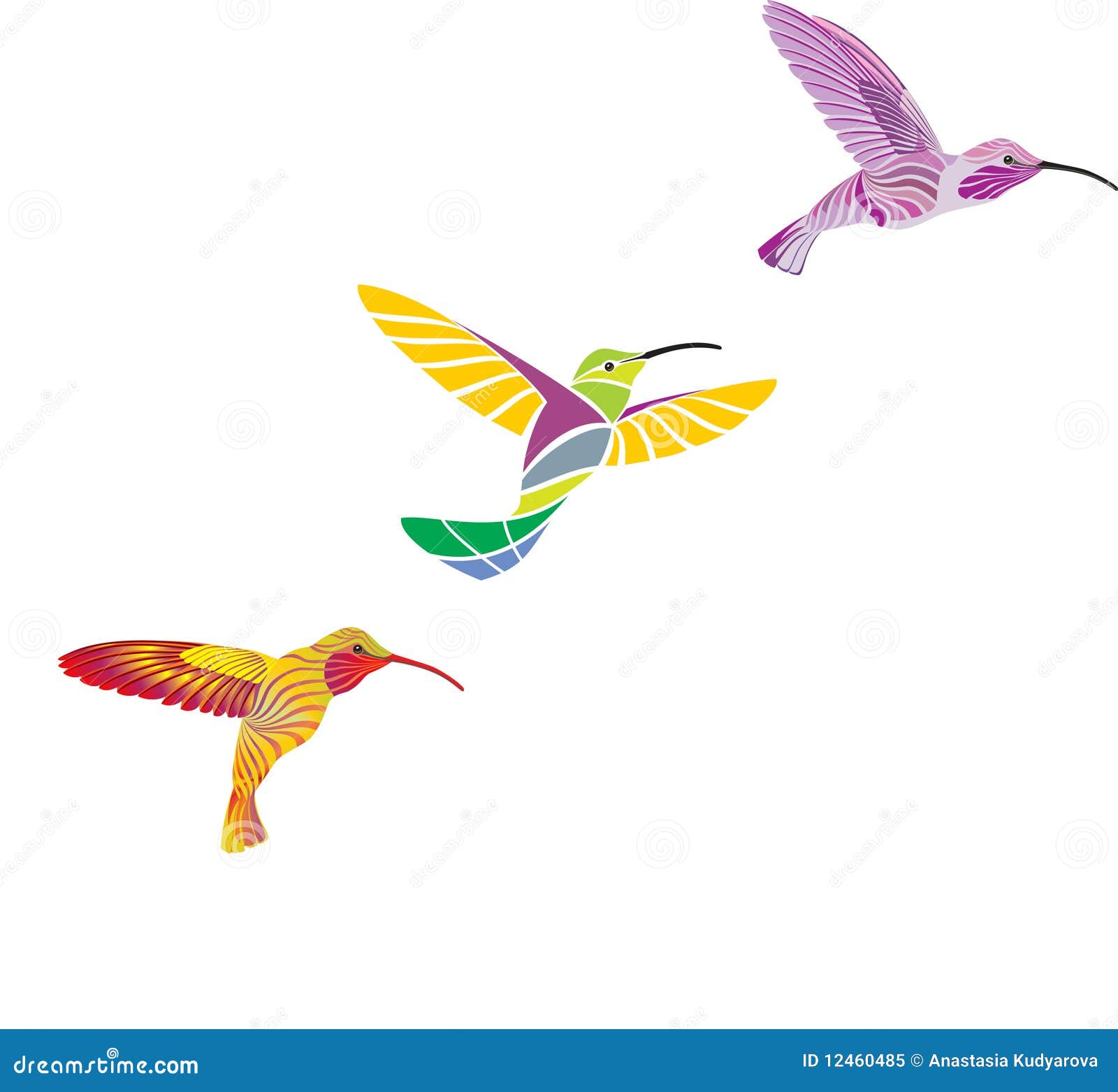 Hummingbirds. The humming-bird isolated on a white background +