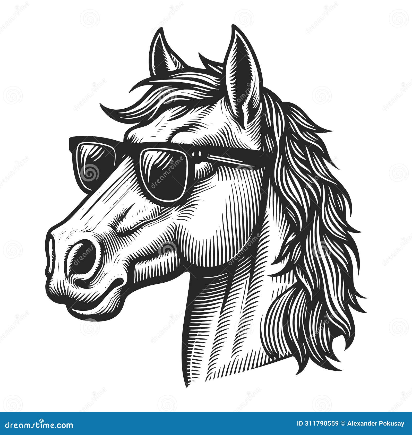 stylish horse with sunglasses engraving 
