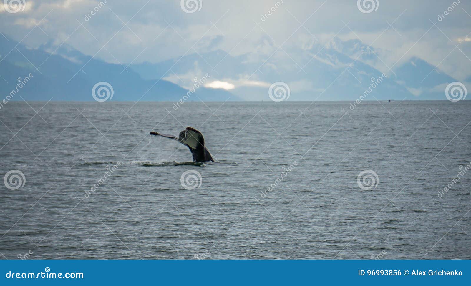 Whale Hunting Canoe Stock Image 5380297