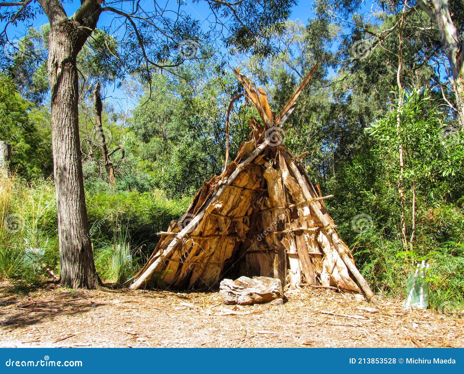 Traditional House of Indigenous Australian People Made of Paperbark with Leanto Frame Stock