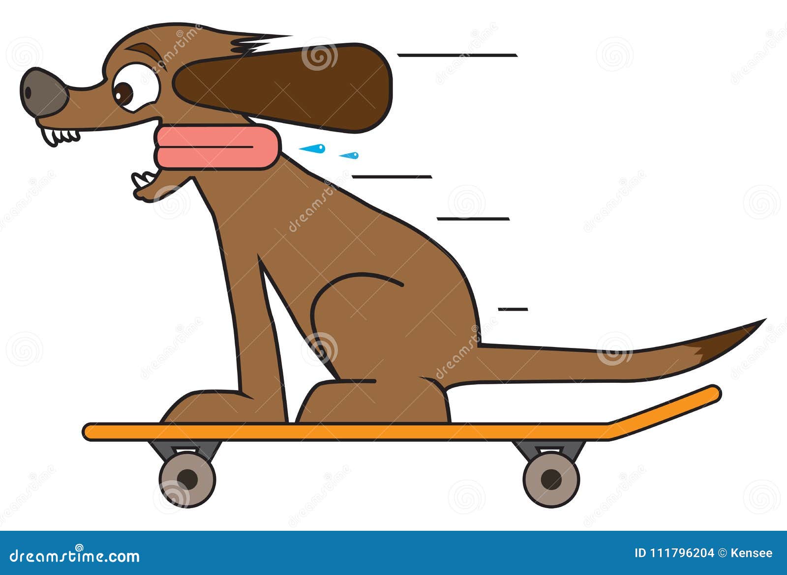 Hund auf einem Skateboard vektor abbildung. Illustration von kreuzen