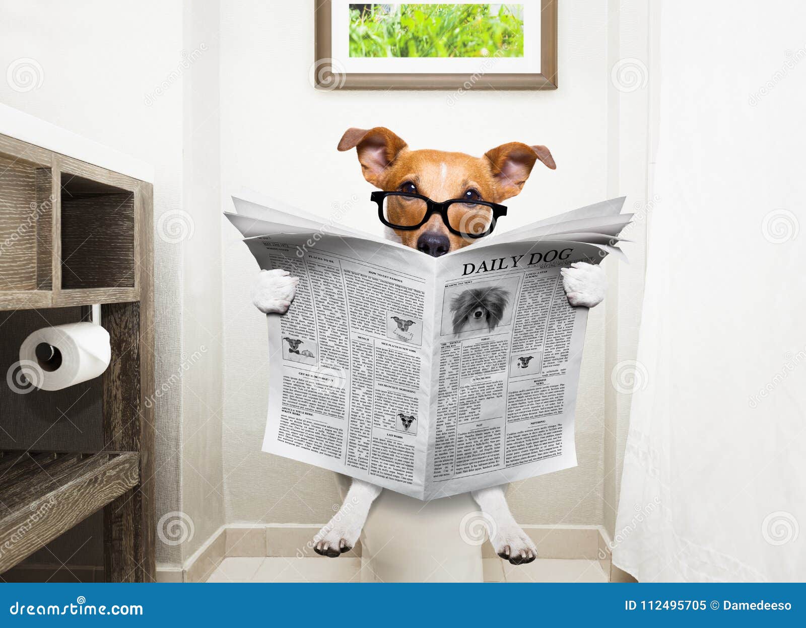 Hund Auf Toilettensitzlesezeitung Stockbild Bild von französisch