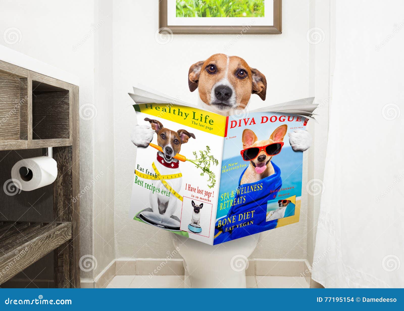 Hund Auf Toilettensitzlesezeitung Stockfoto Bild von hund, pinsel