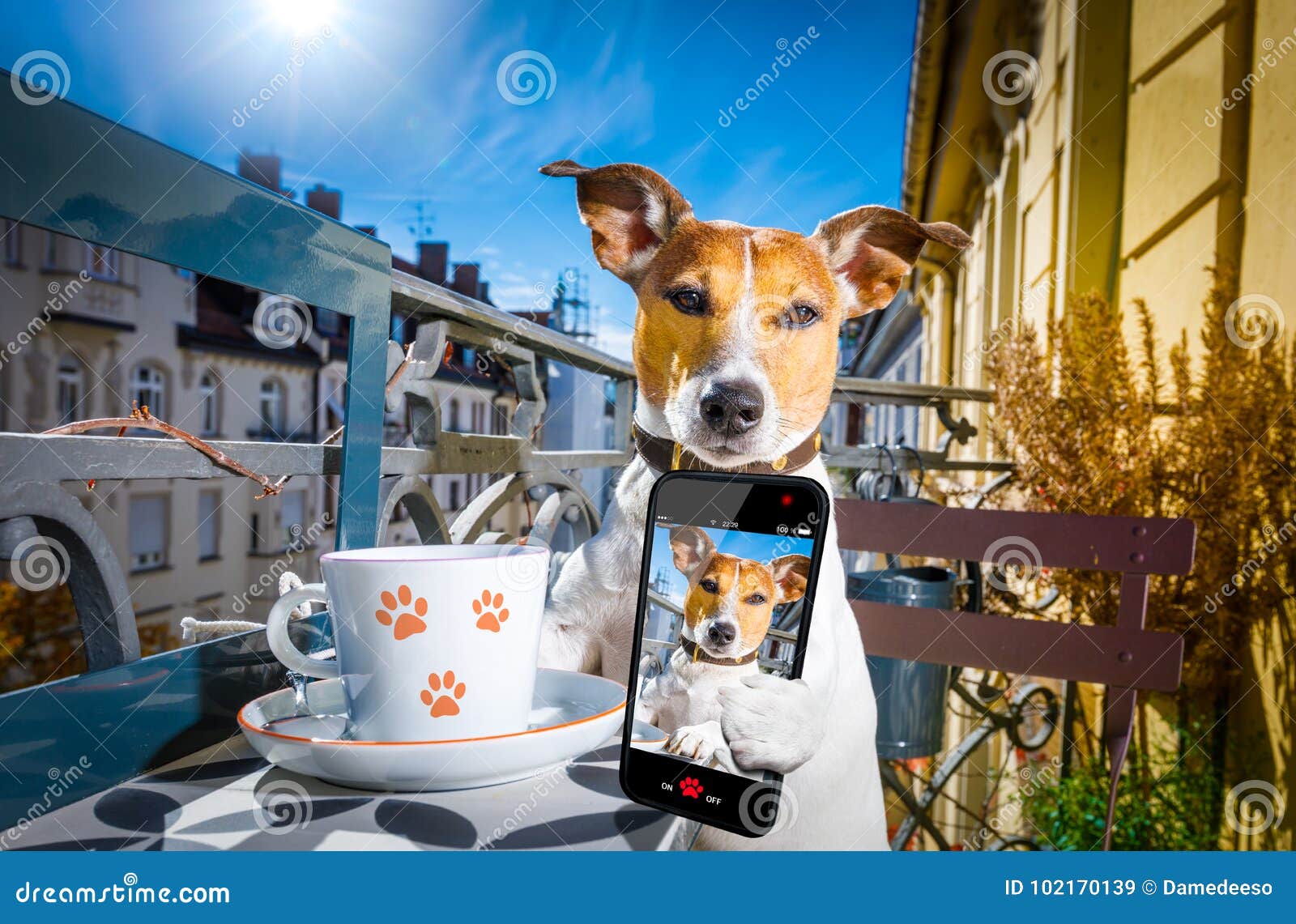 Hund, Der Eine Kaffeepause Und Ein Selfie Hat Stockbild Bild von tier