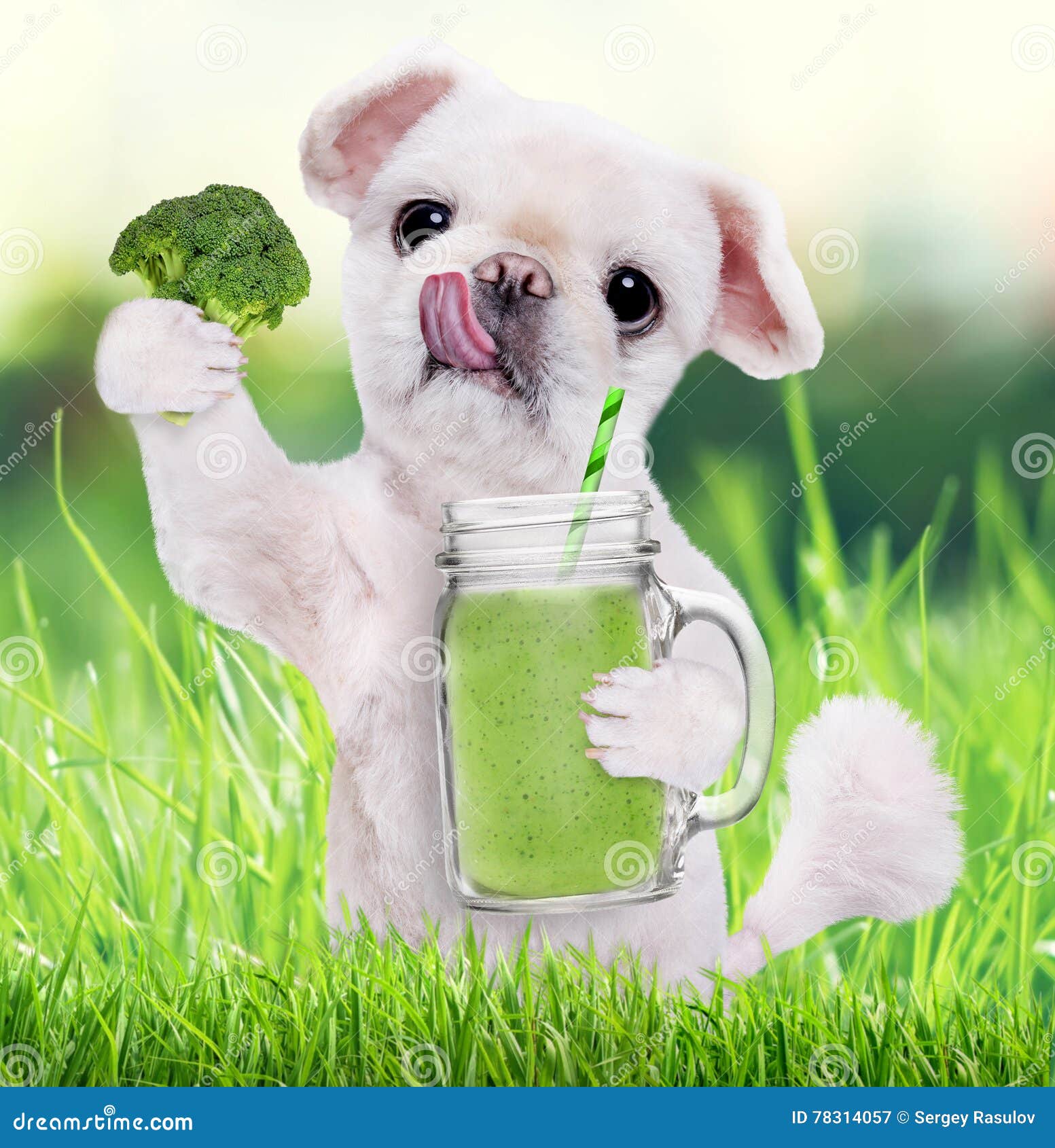 Hund, Der Smoothie In Einem Becher Hält Stockbild Bild von becher