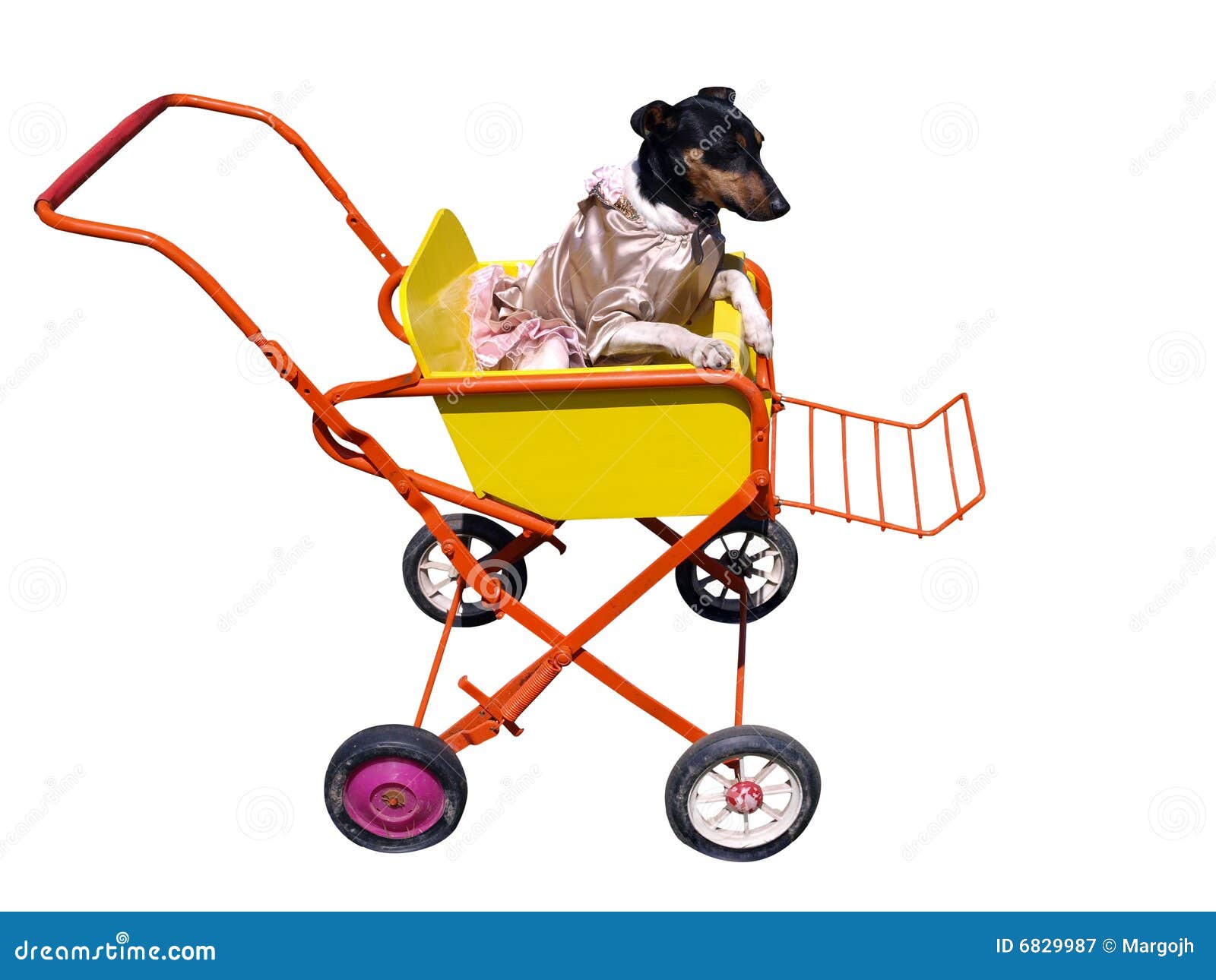 Hund im Kinderwagen stockbild. Bild von abgebrochen, kleid 6829987