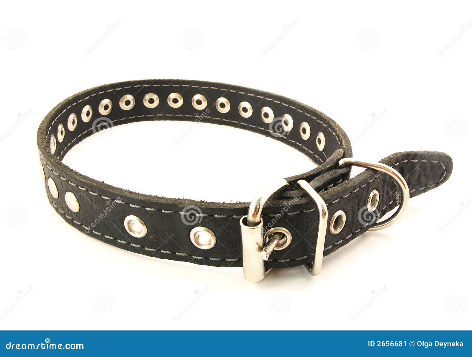 HundKragen stockbild. Bild von schwarzes, mündung, riemen 2656681