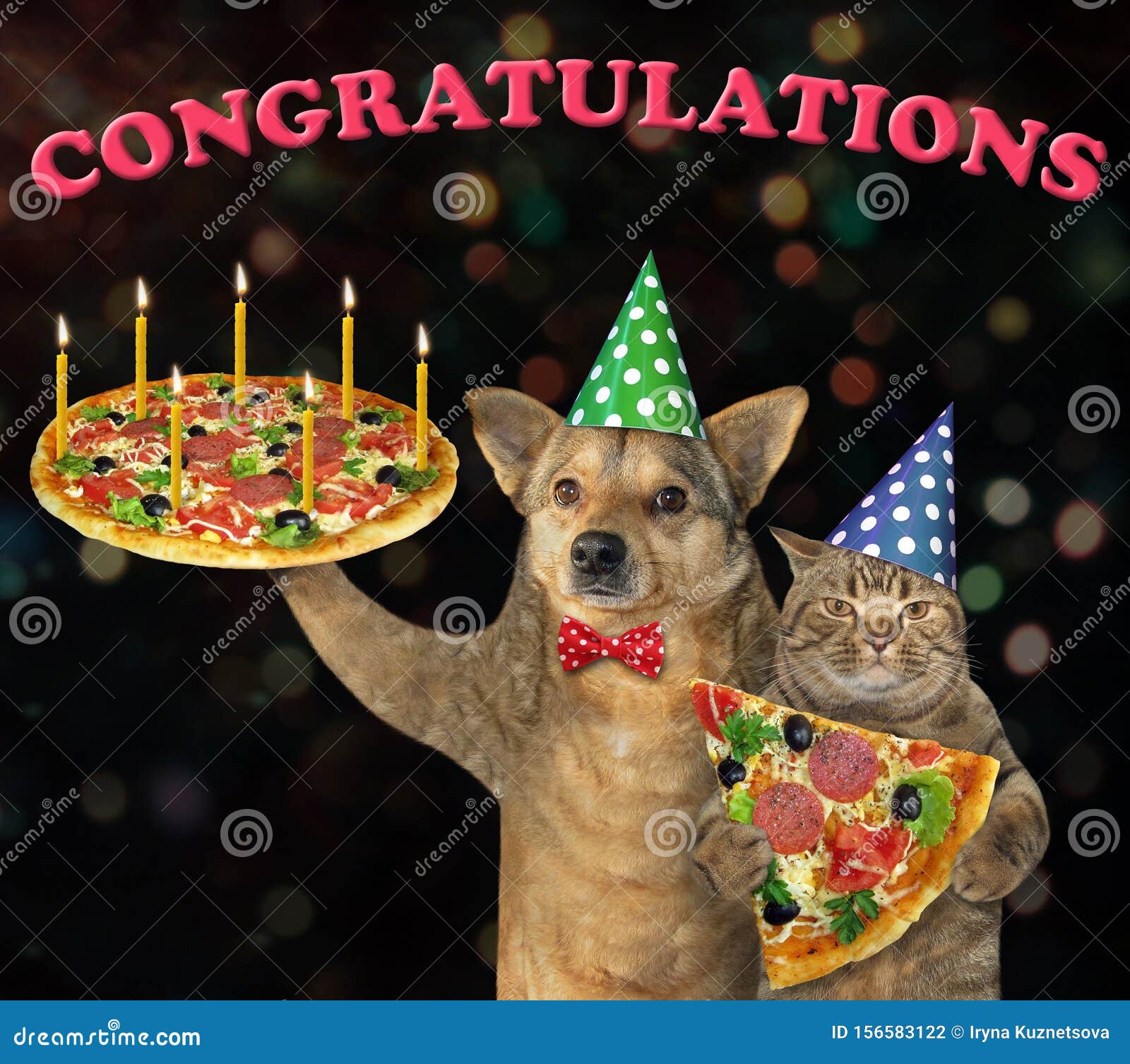 Hund Mit Katze, Die Pizza 2 Isst Stockfoto Bild von kerze, partei