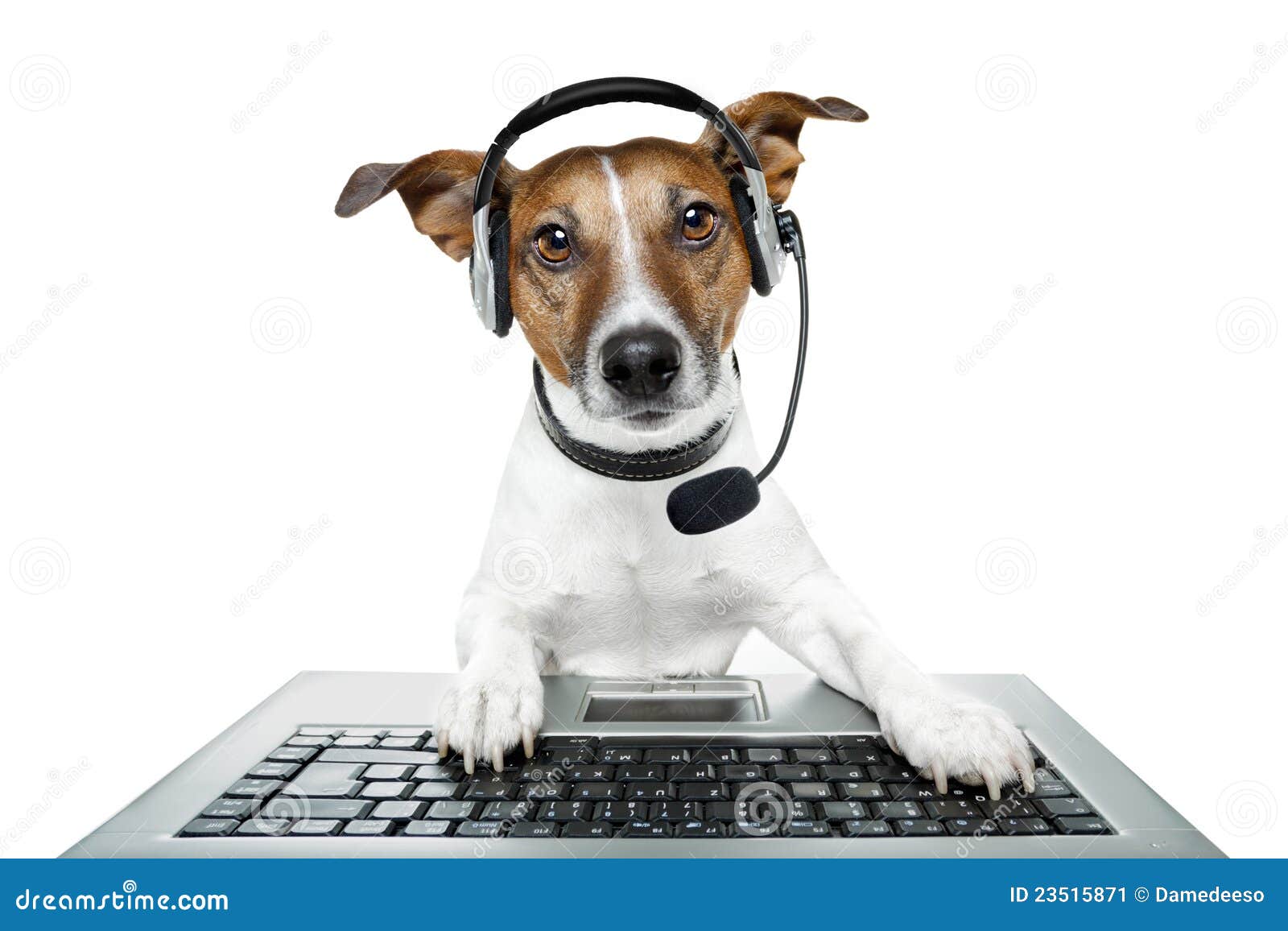 Hund Mit Kopfhörer Stockbild Bild 23515871