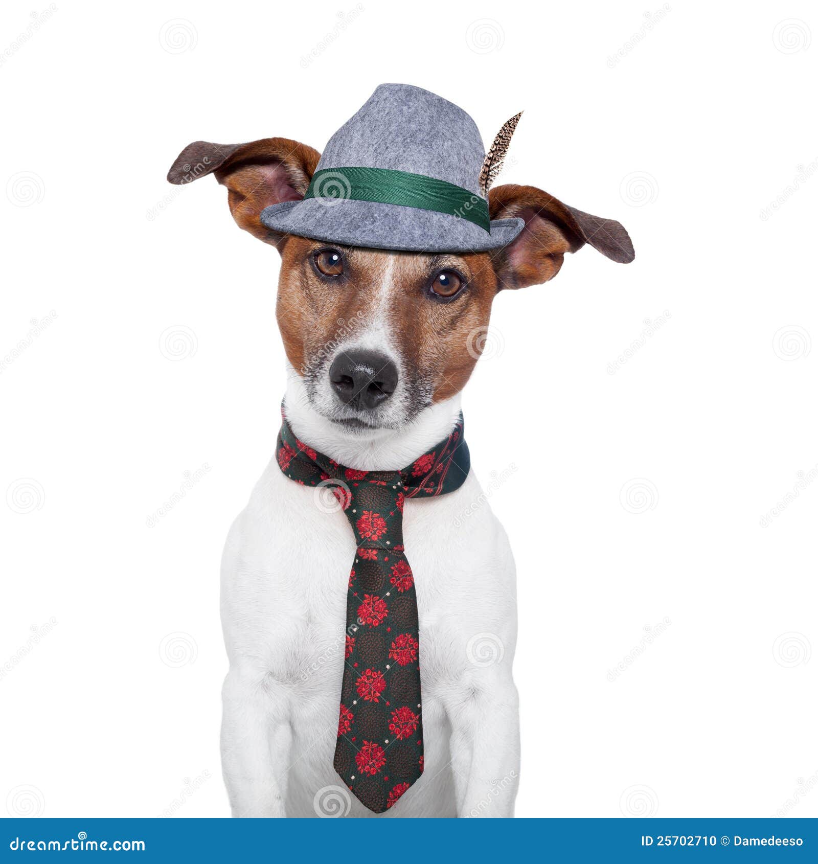 Hund oktoberfest stockfoto. Bild von deutschland, bayern 25702710