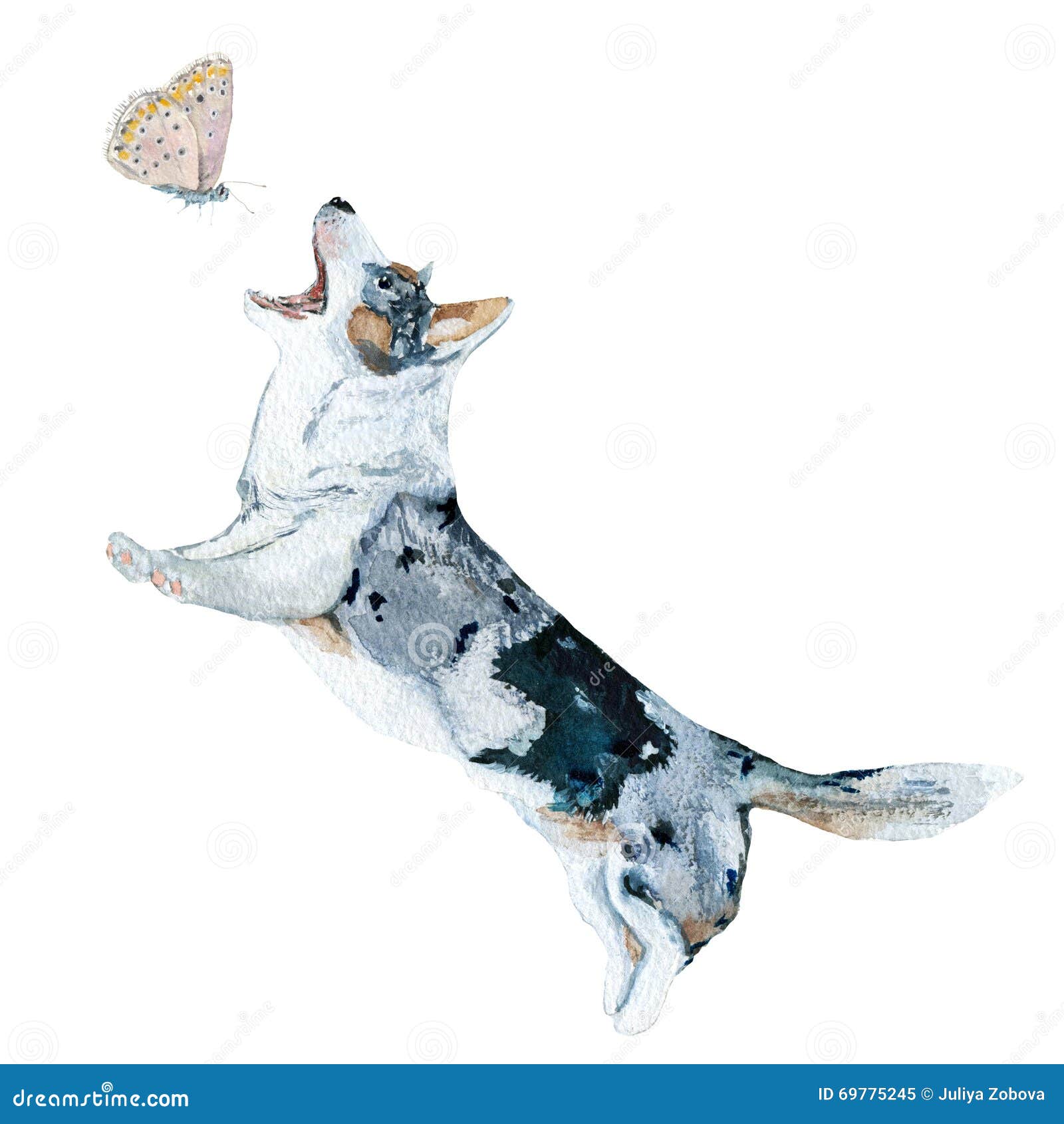 Hund und Schmetterling stock abbildung. Illustration von schön 69775245