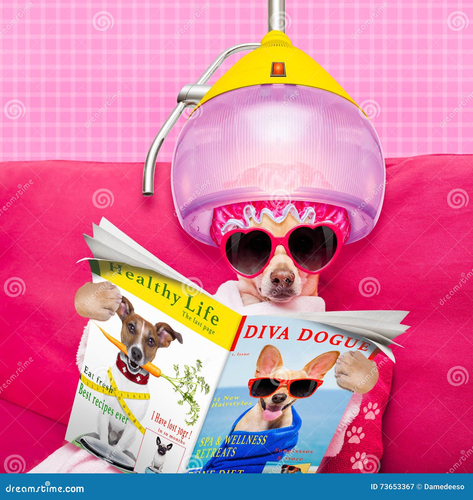 Hundebadekurort Wellness Stockbild Bild Von Wellness