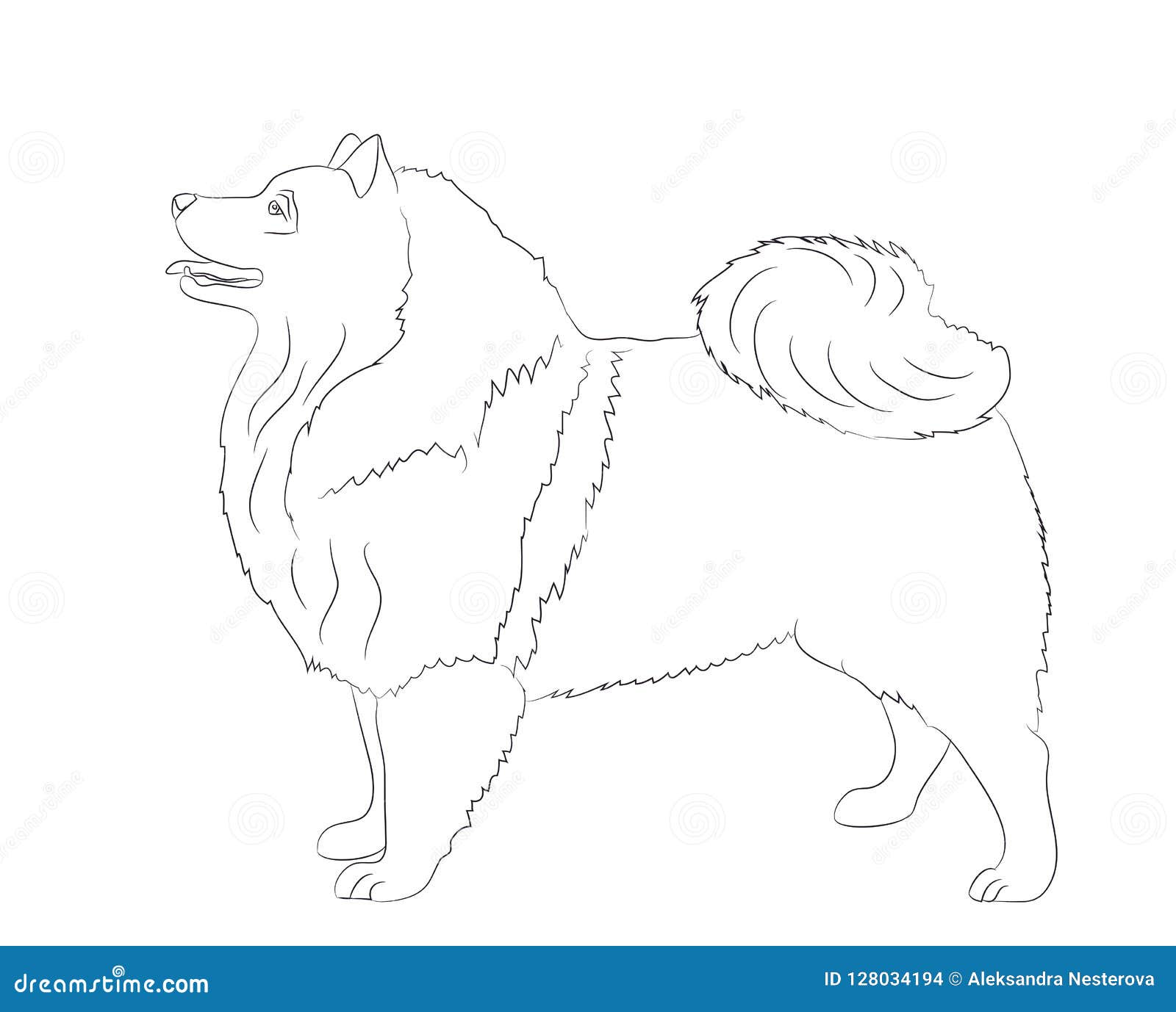 Hundställningar, linjer, vektor. Hunden står linjer, vektorn, vit bakgrund, hundställningar