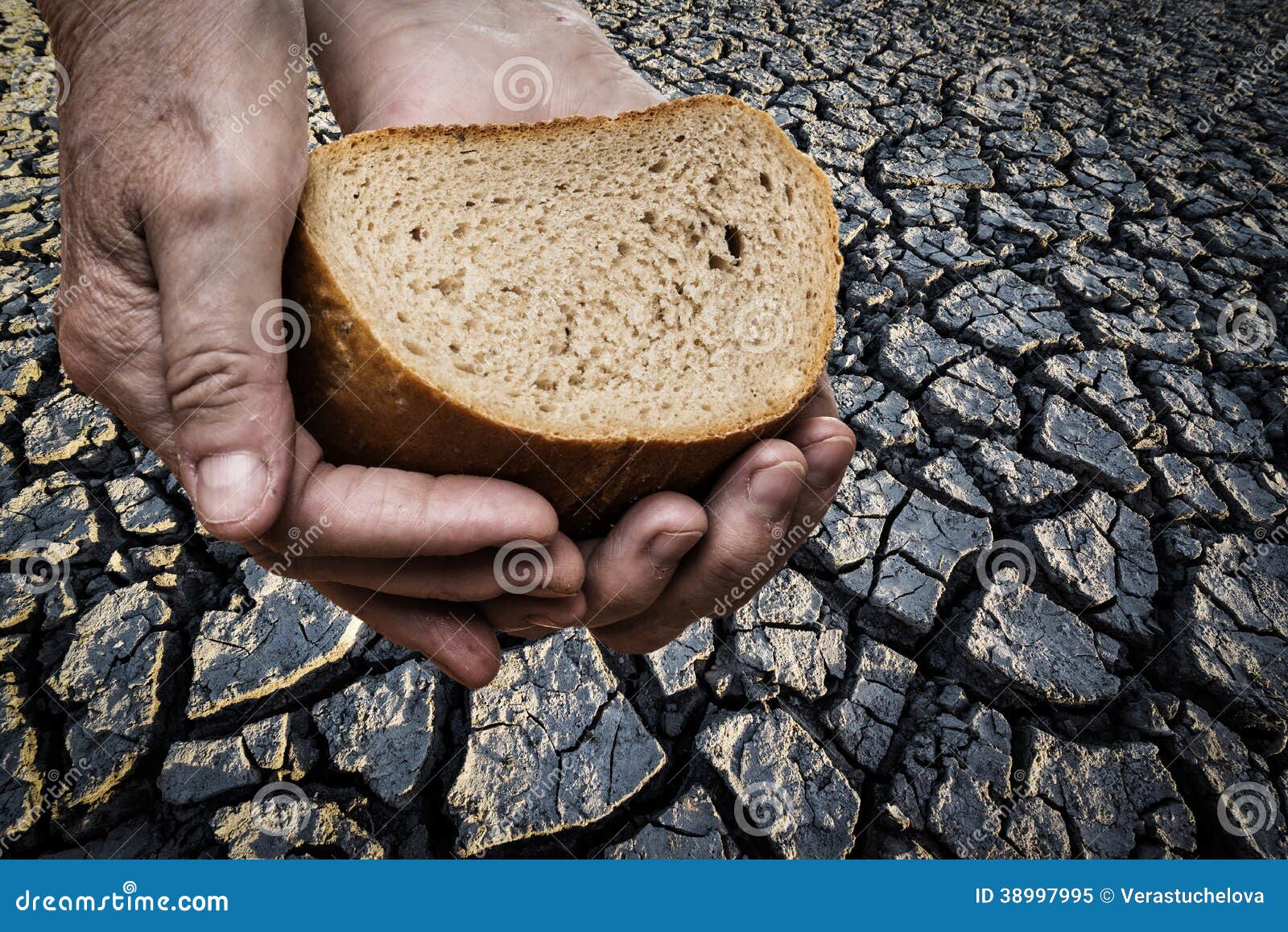 Hunger Old Hand Holding Bread Stock Photo Image 38997995