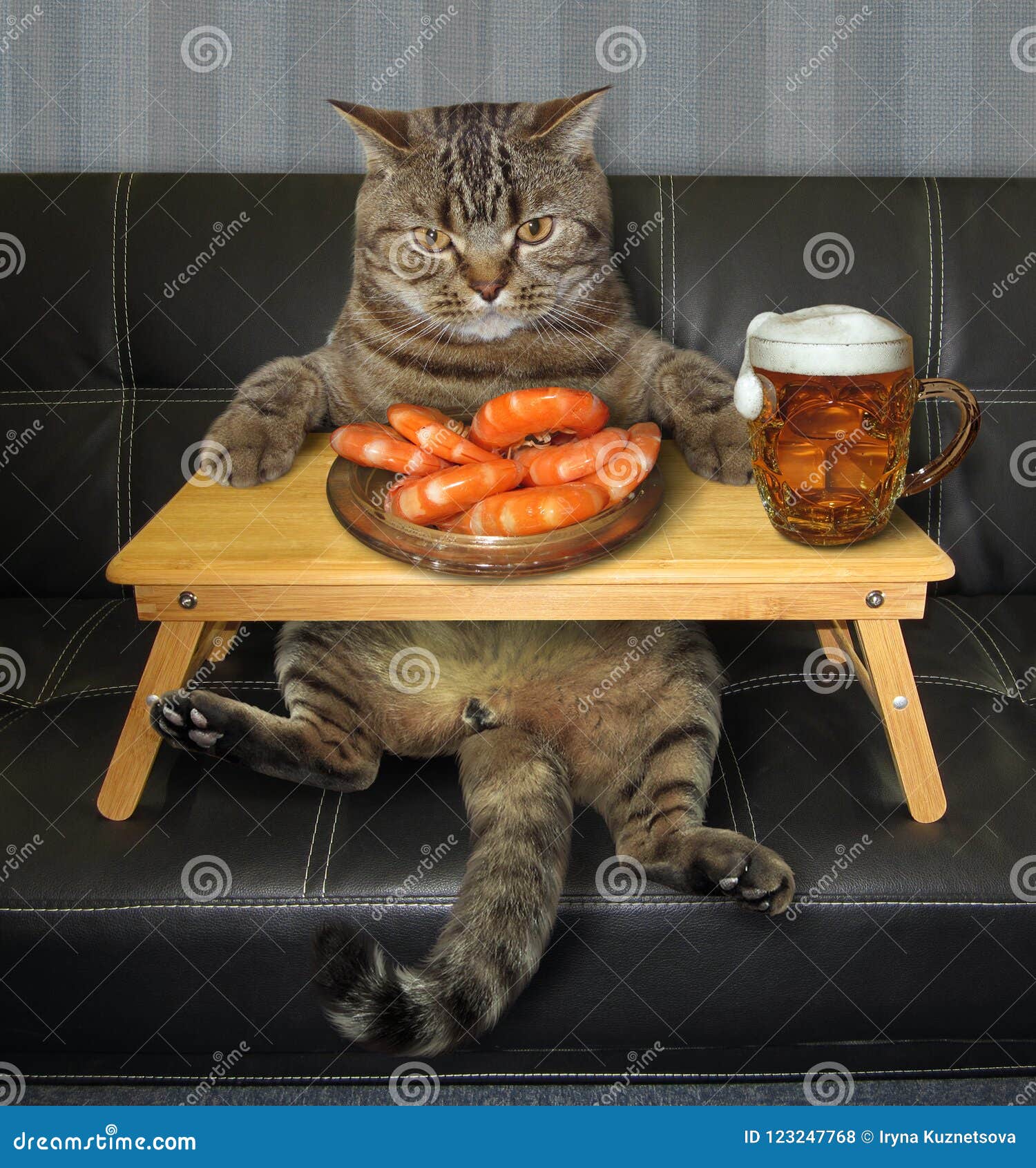 Cat Drinks Beer with Shrimp on the Sofa Stock Photo Image of couch