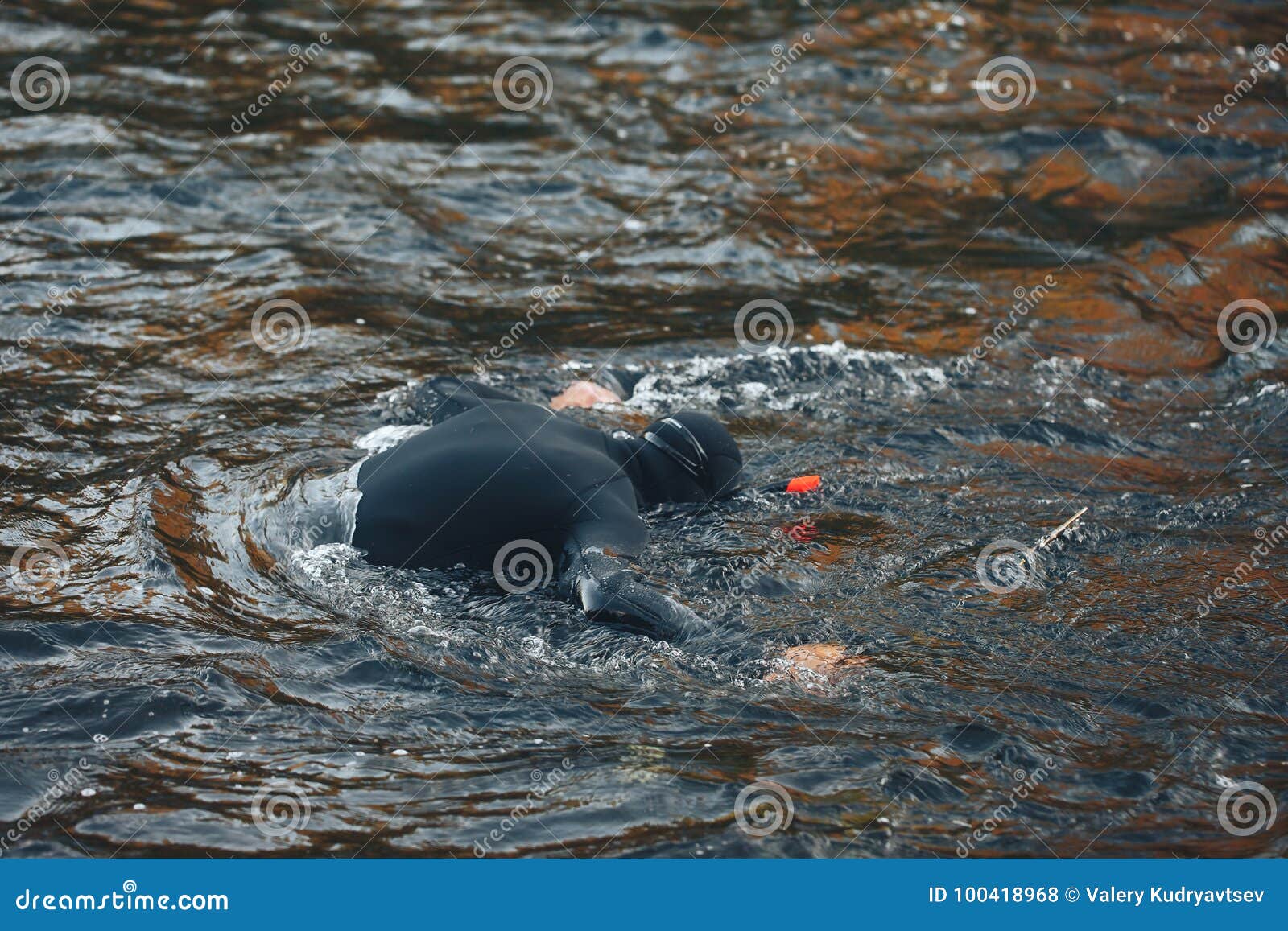 Spear fisherman shows Freshwater Fish at of underwater after hunting in  forest river 9501441 Stock Photo at Vecteezy, river fish hunting 