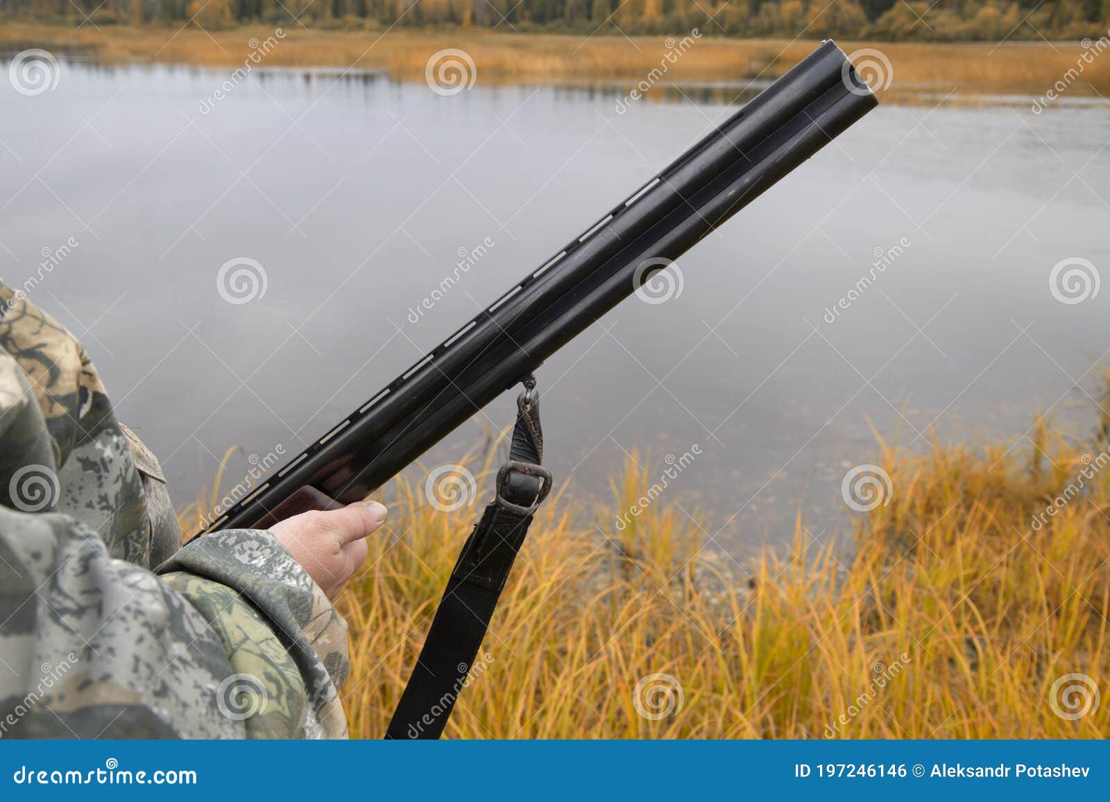 Hunter with a Gun . Autumn Duck Hunting Stock Photo Image of forest