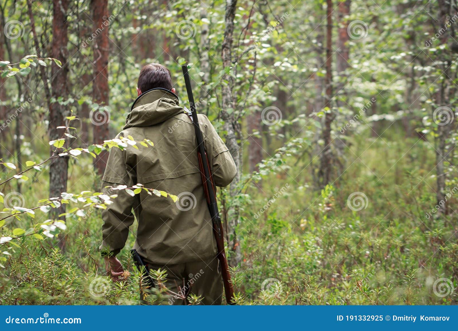 hunter with shotgun walking in the forest. hunting season. fowling piece. wild nature background