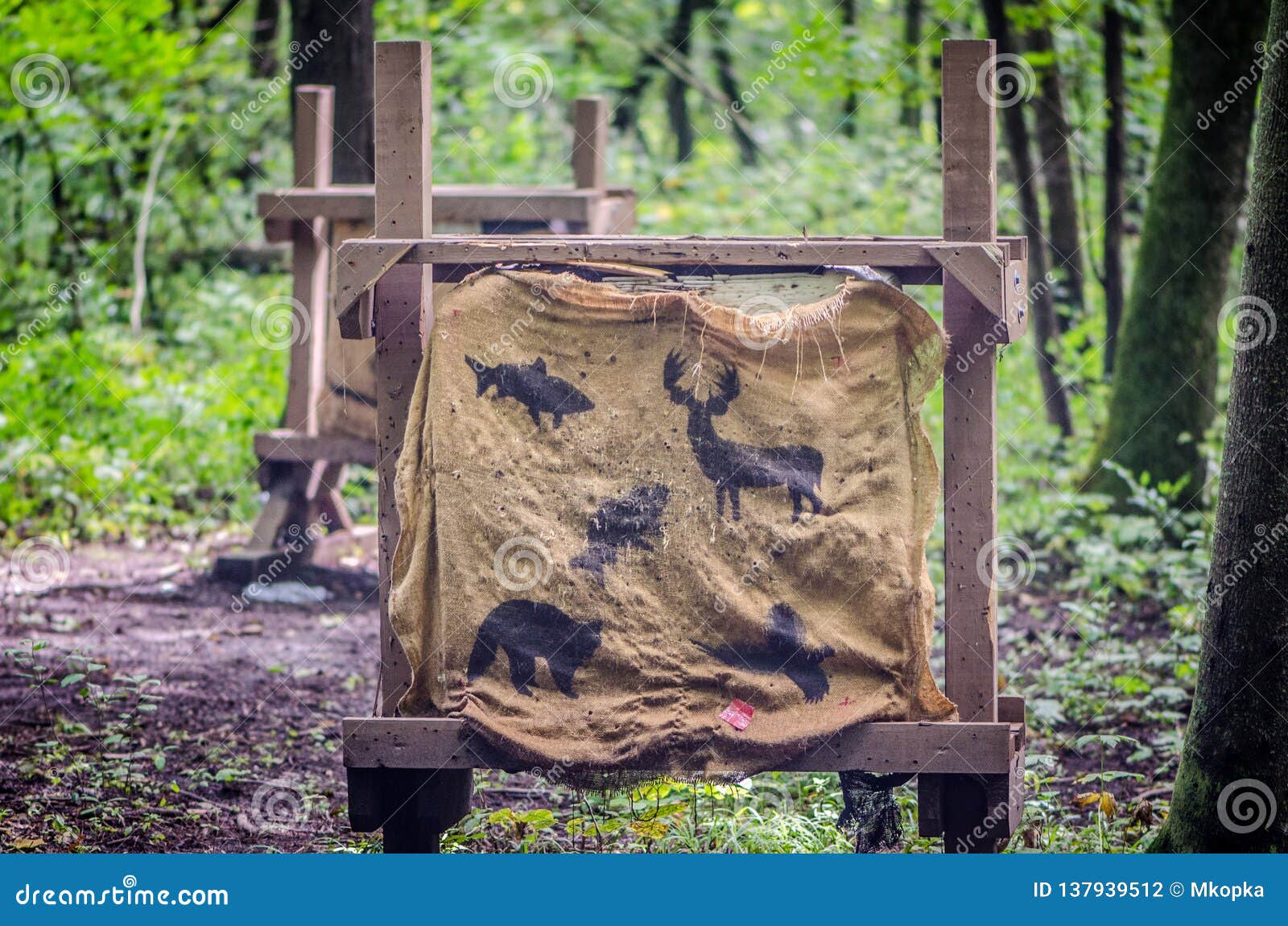 Hunting Archery Targets in a Forested Area Stock Photo Image of