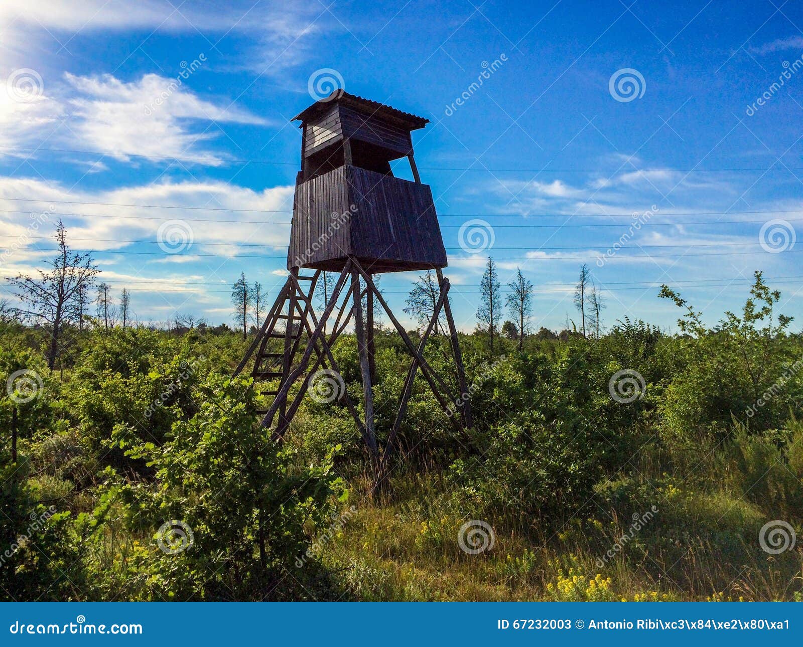 Hunting cabin stock image. Image of brown, point, grass 67232003