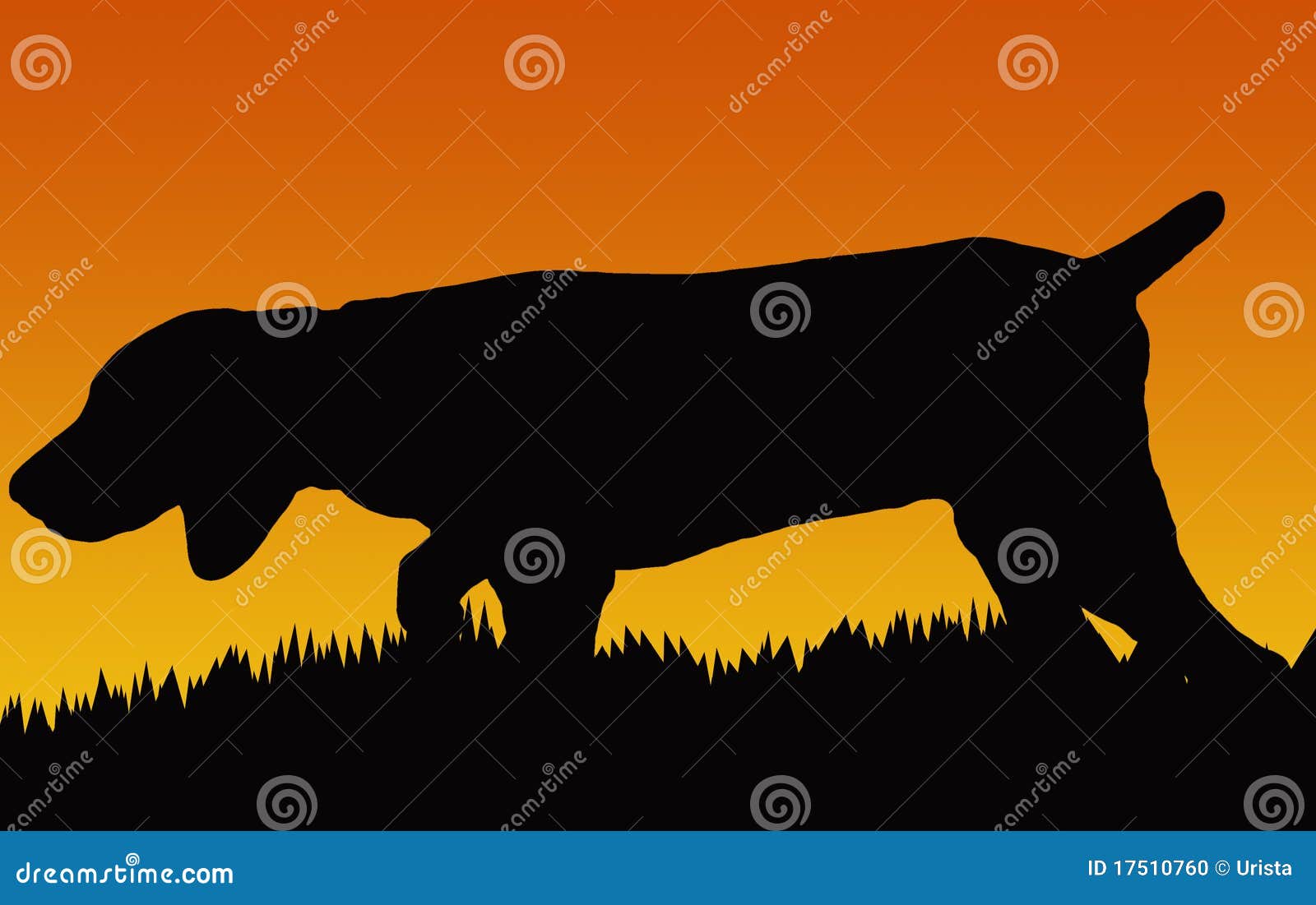 Hunting Dog stock vector. Illustration of game, puppy 17510760
