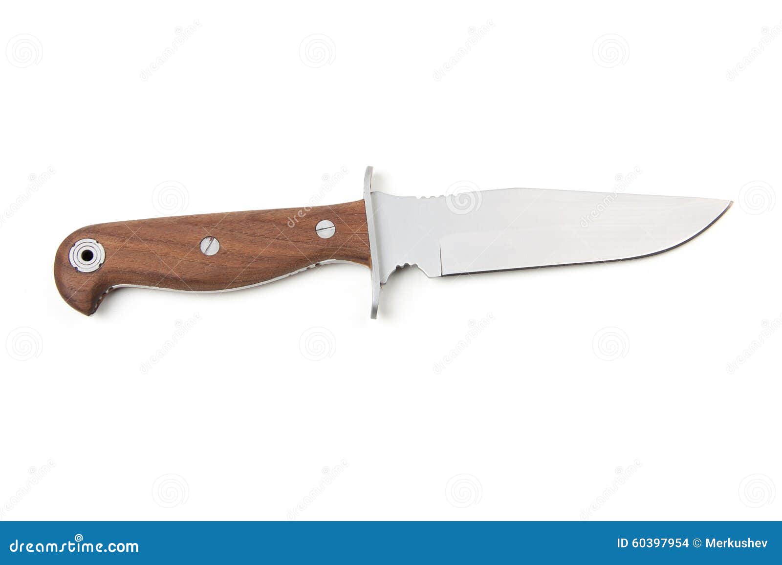 Hunting Knife with Wooden Handle, Isolated Stock Photo Image of