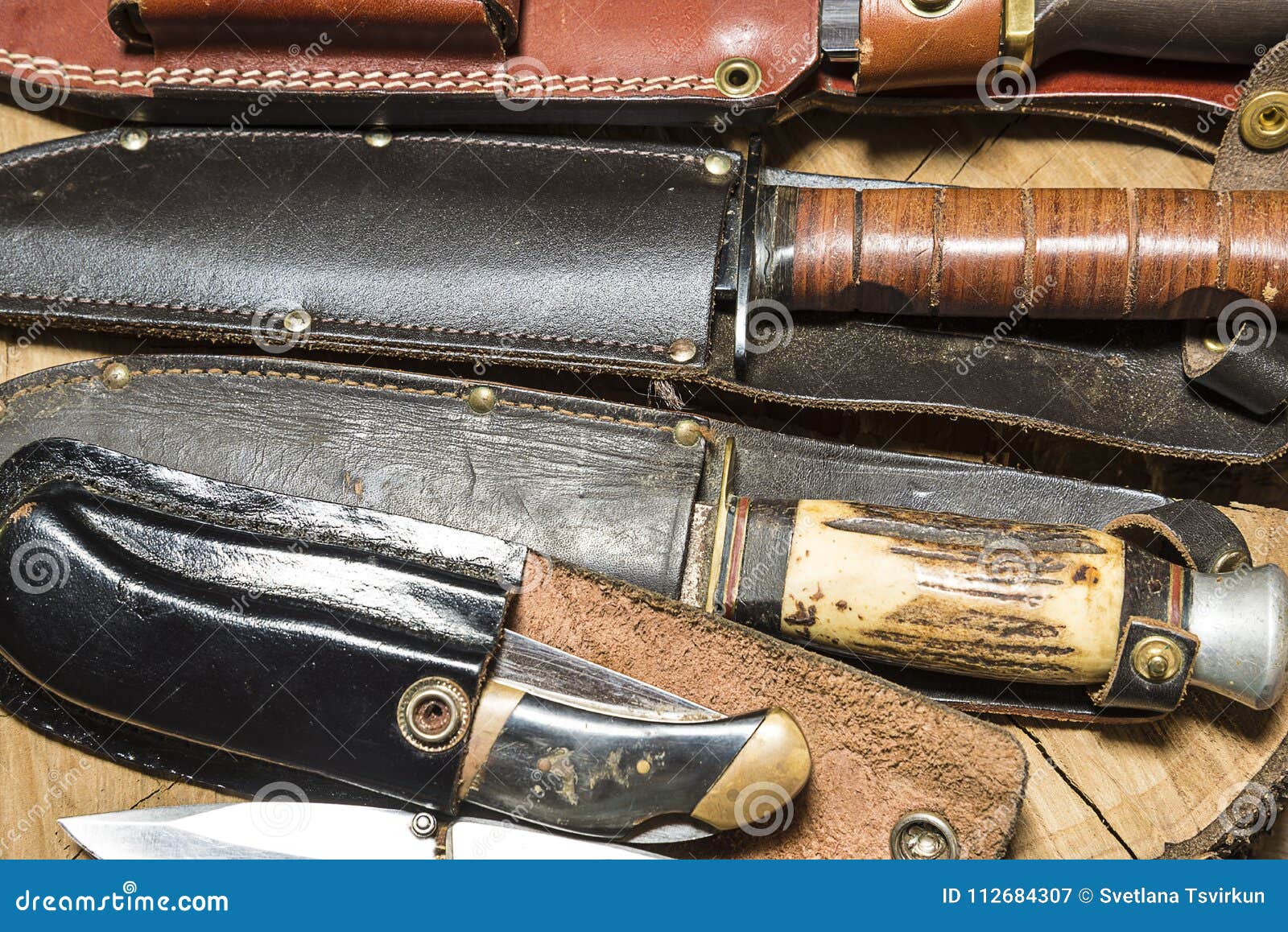 Hunting Knives with Scabbards Stock Image Image of knives, armory