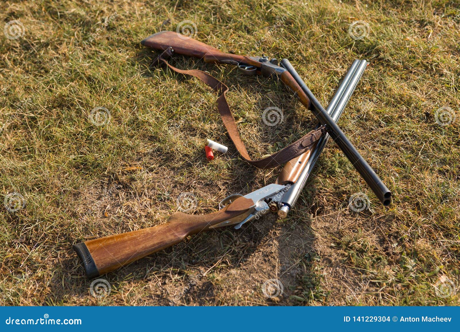 Hunting Rifle on Grass. the Beginning of the Hunting Season is Open