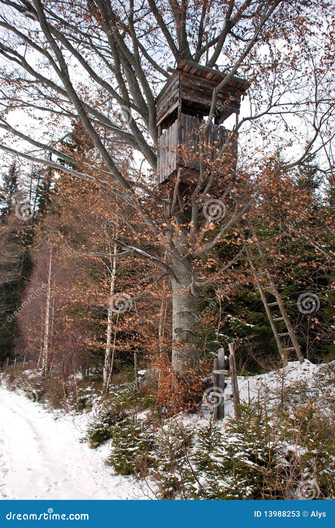 Hunting tree stand stock image. Image of shooting, hunter ...