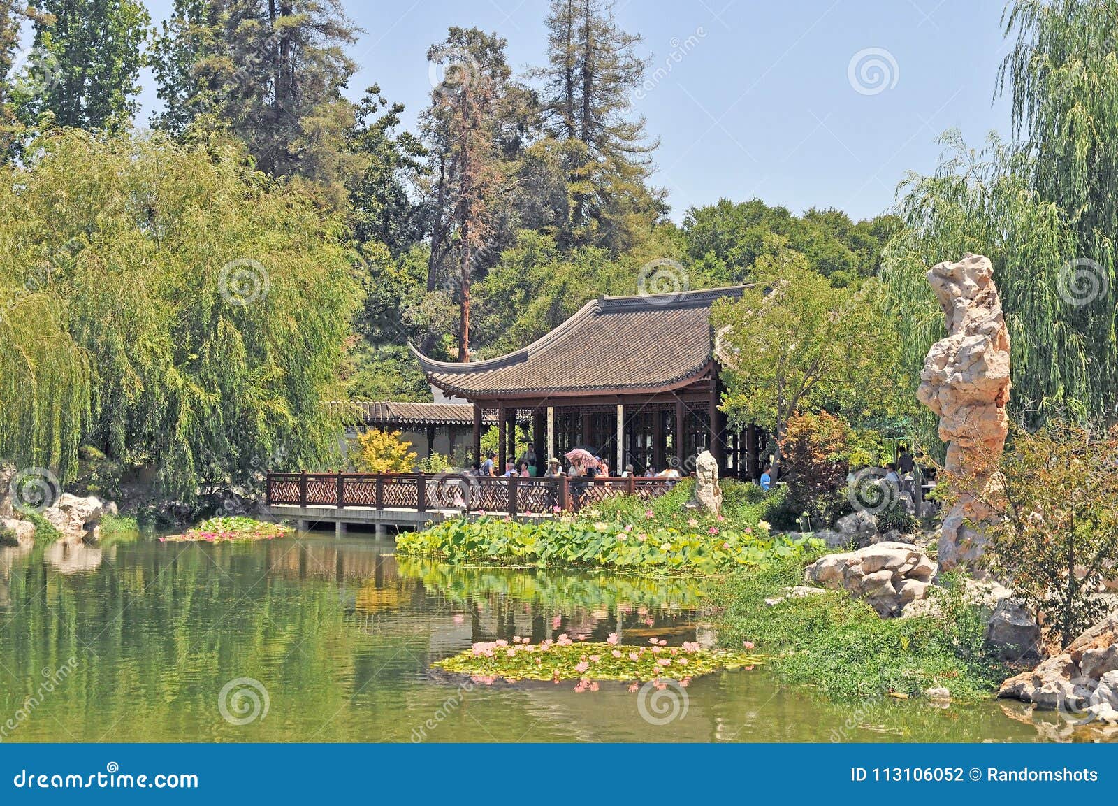 Huntington Botanical Gardens Peaceful Chinese Water Garden