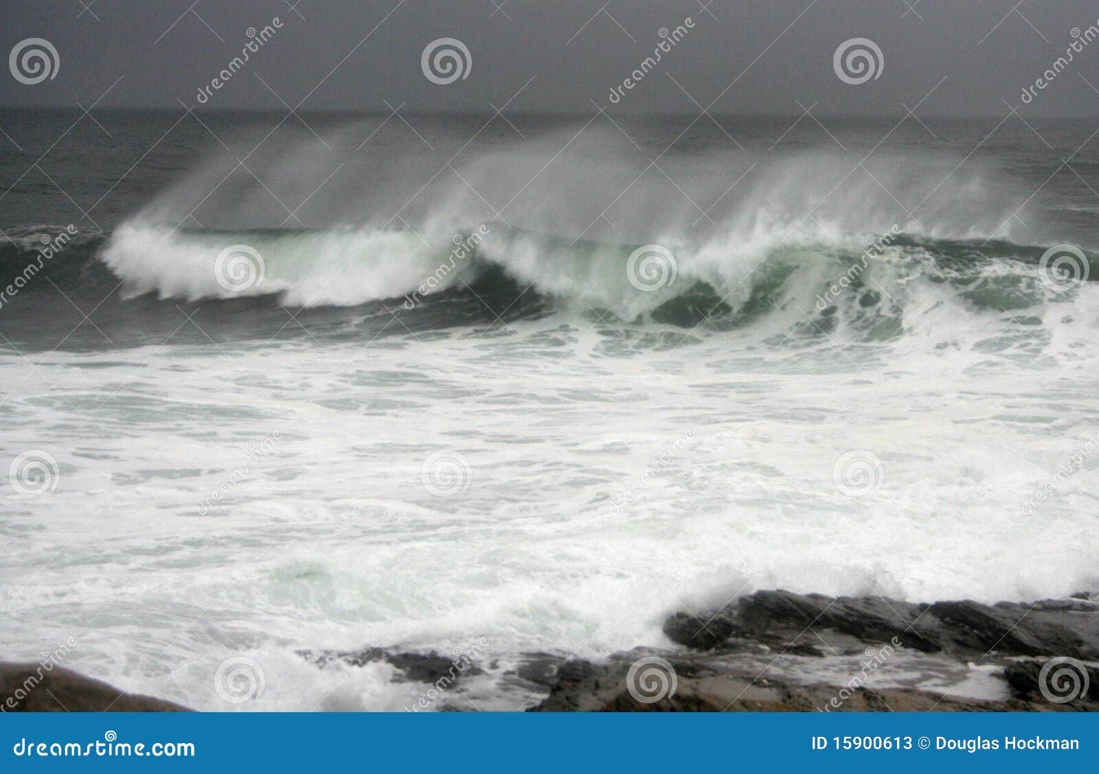 hurricane earl waves
