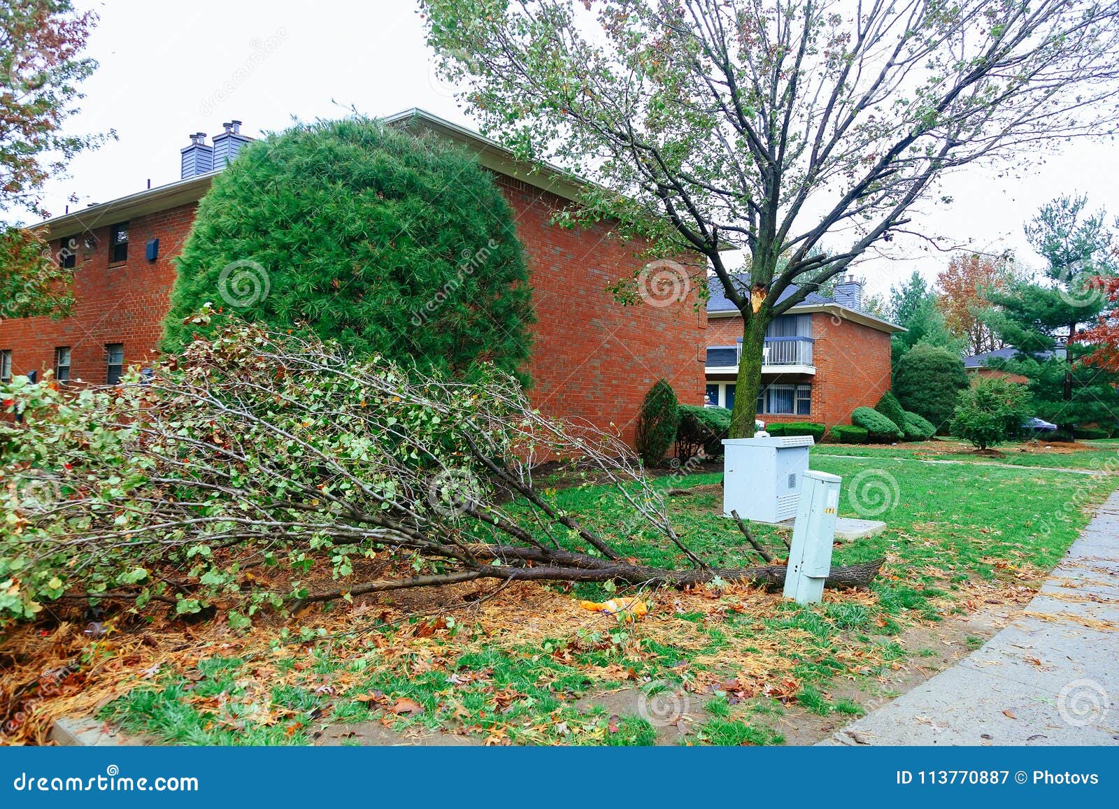 hurricane flood and wind damage