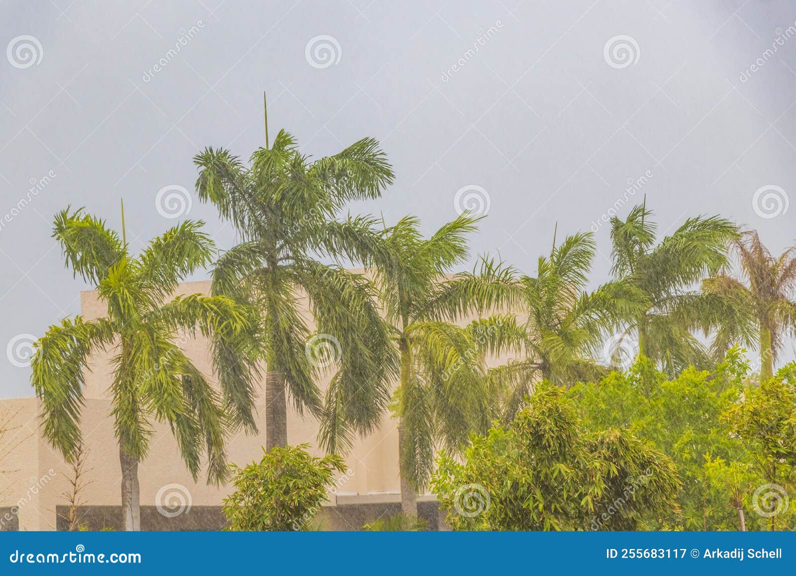 Hurricane 2021 Playa Del Carmen Mexico Extreme Wind Storm Thunderstorms