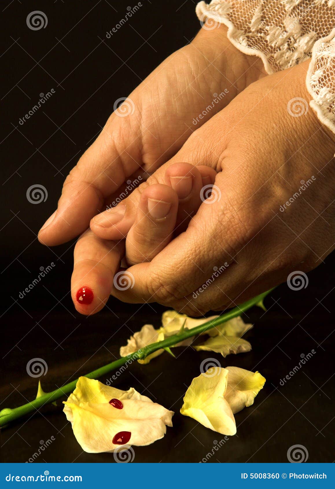Hurt stock photo. Image of thorns, fingers, flowers, petals 5008360