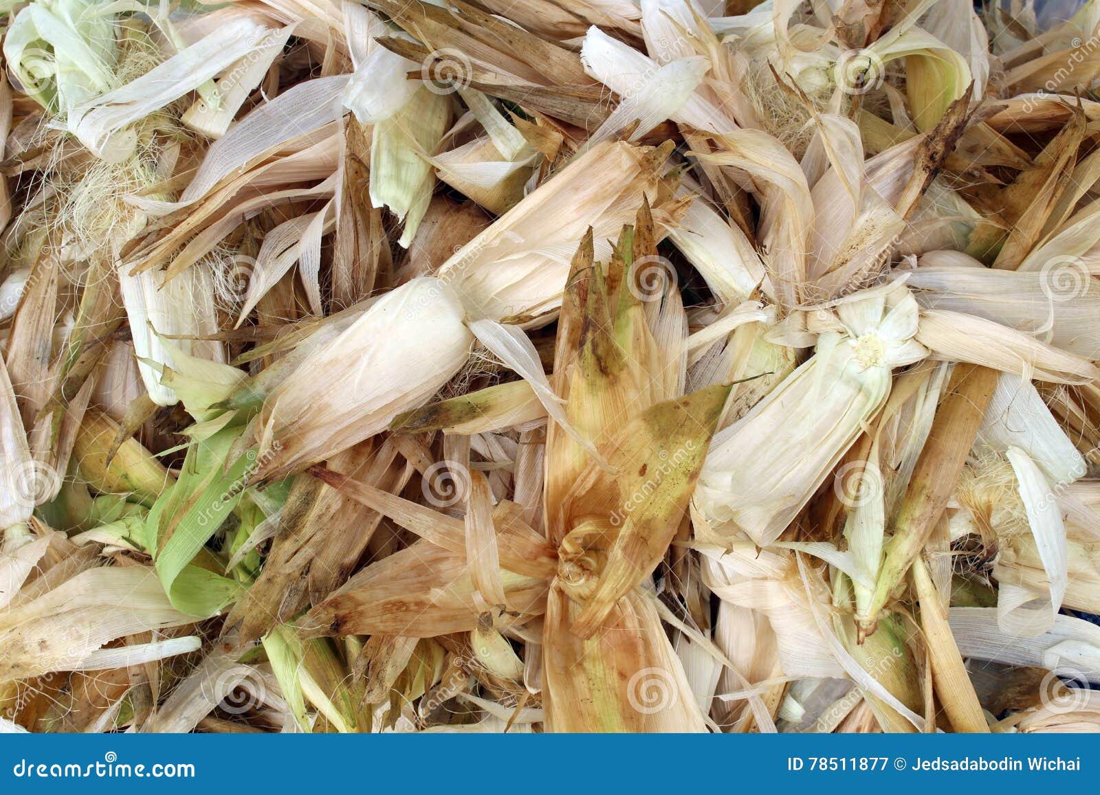 Husks corn background stock image. Image of organic, nutrition 78511877