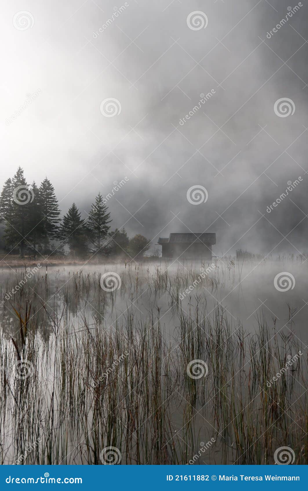 hut in autumn-fog