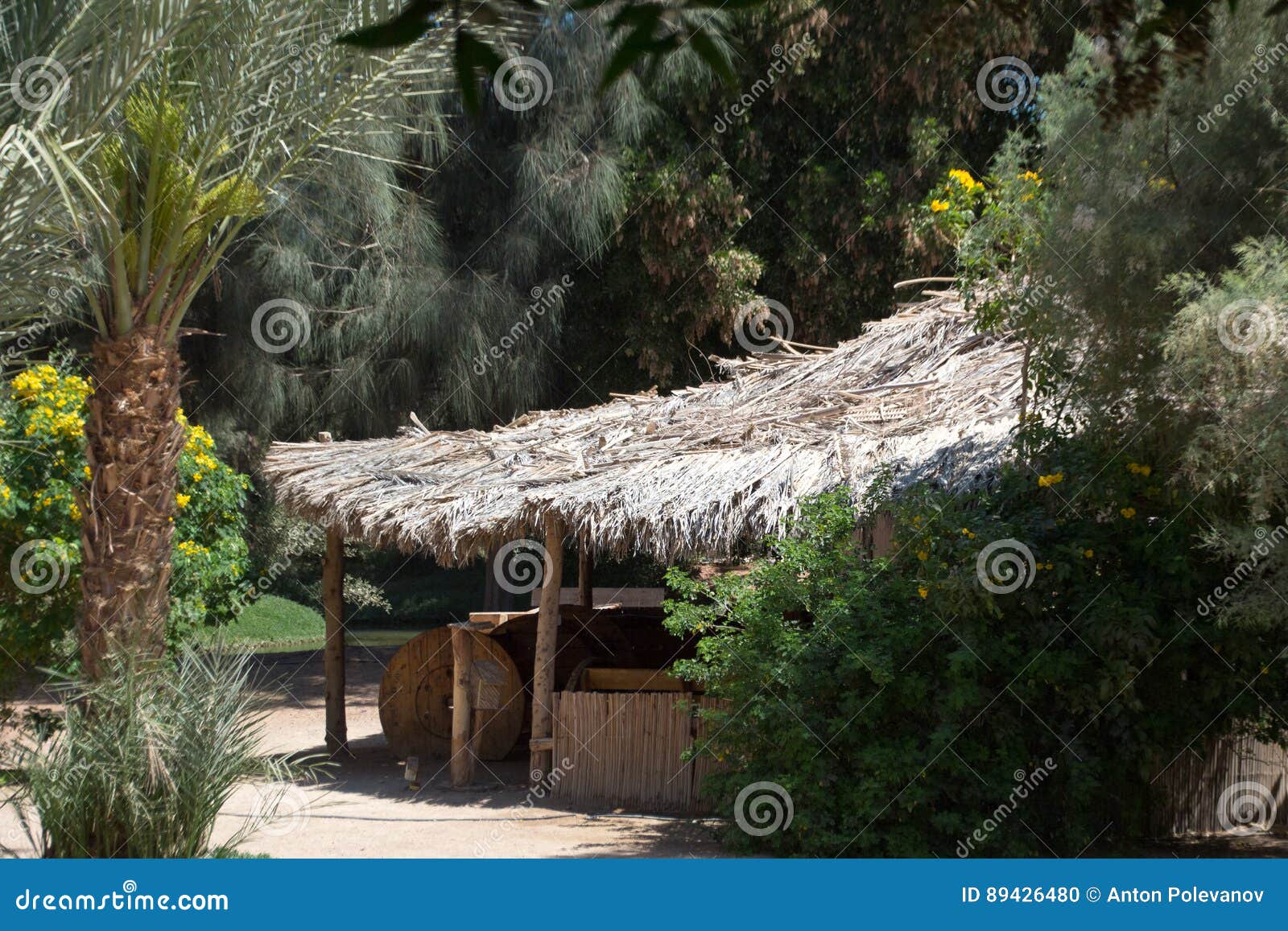 Hut in the jungle stock photo. Image of outdoor, landscape 89426480
