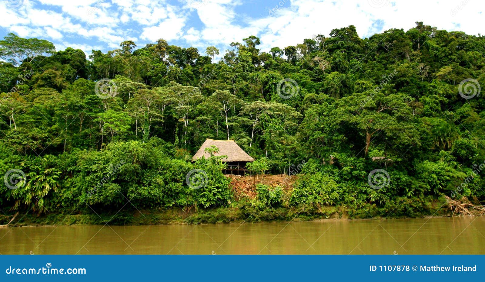 Hut In Rainforest stock photo. Image of rainforest, canopy - 1107878