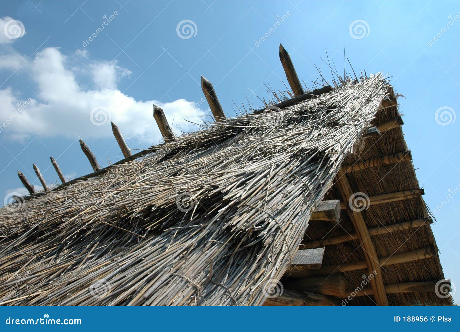 Hut roof stock photo. Image of thatched, midle, country 188956
