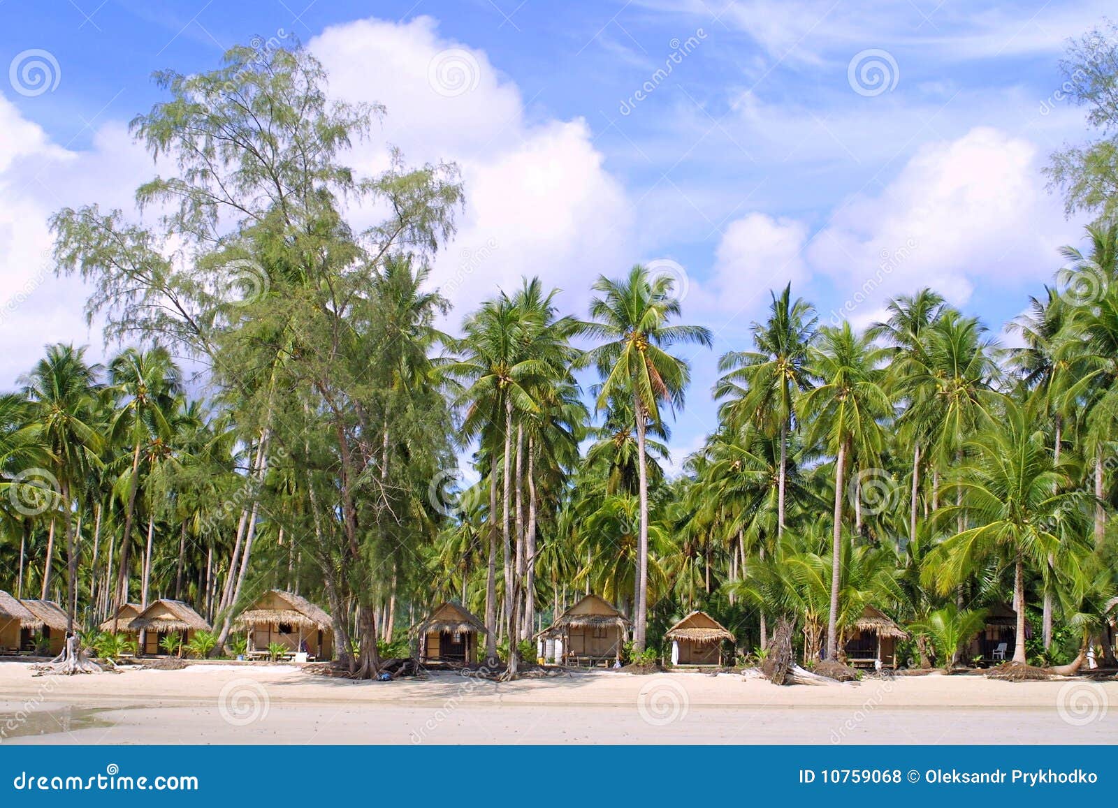 Huts and Coconut palms stock photo. Image of asia, stem - 10759068