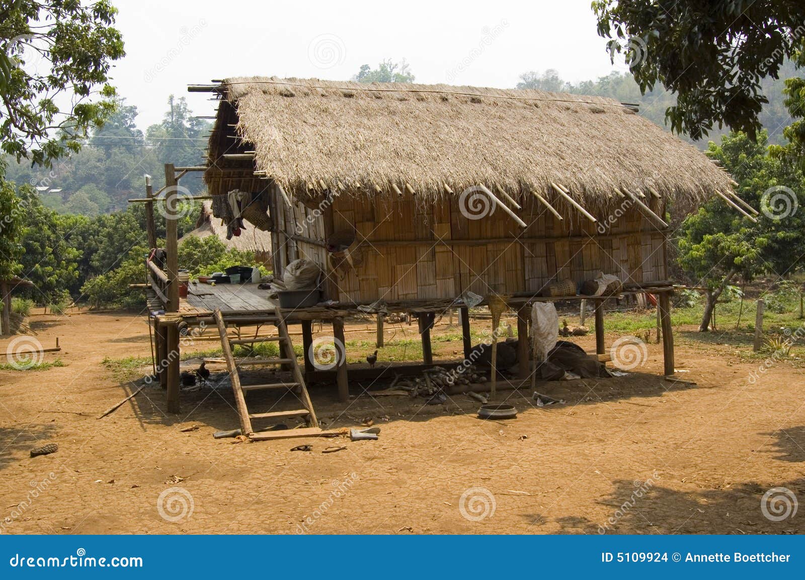  Hutte en bambou  tribale photo stock Image du maison tha  