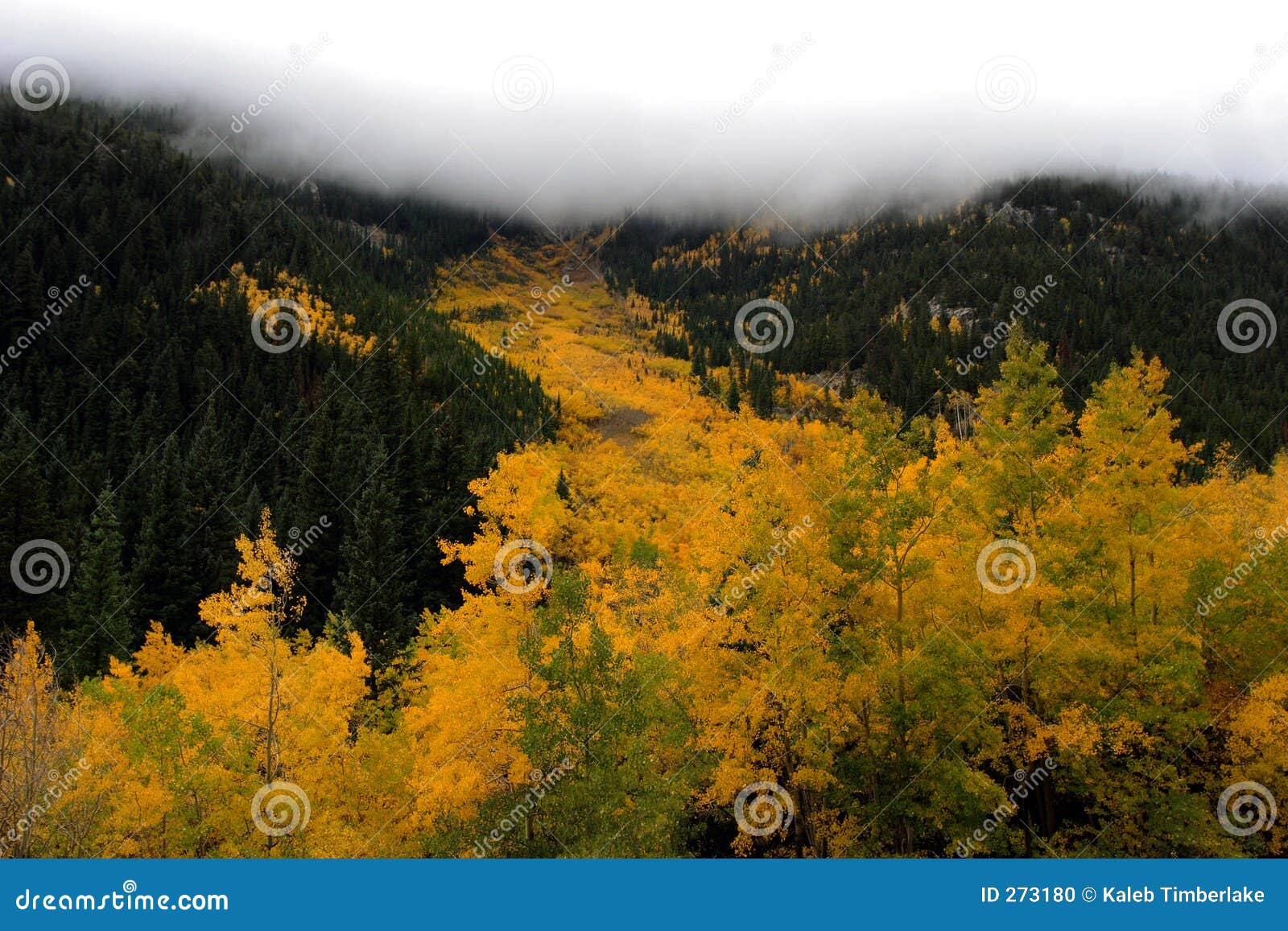 hwy 40 valley in fall 3