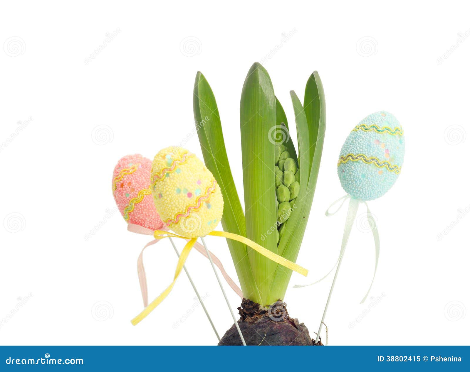 Hyacinth with Easter eggs stock image. Image of paschal 38802415