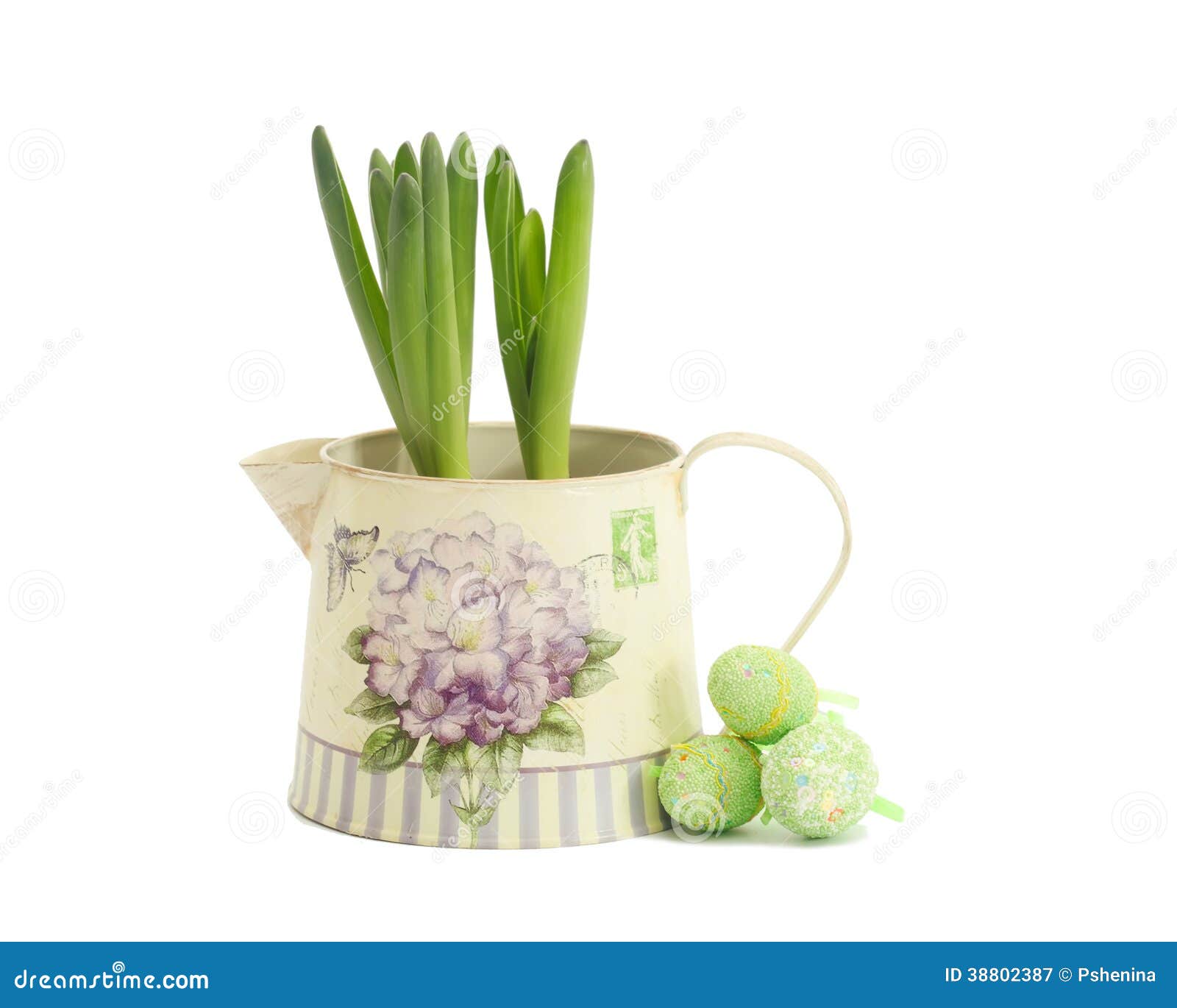 Hyacinth in a Pot with Easter Eggs Stock Image Image of petal, frame