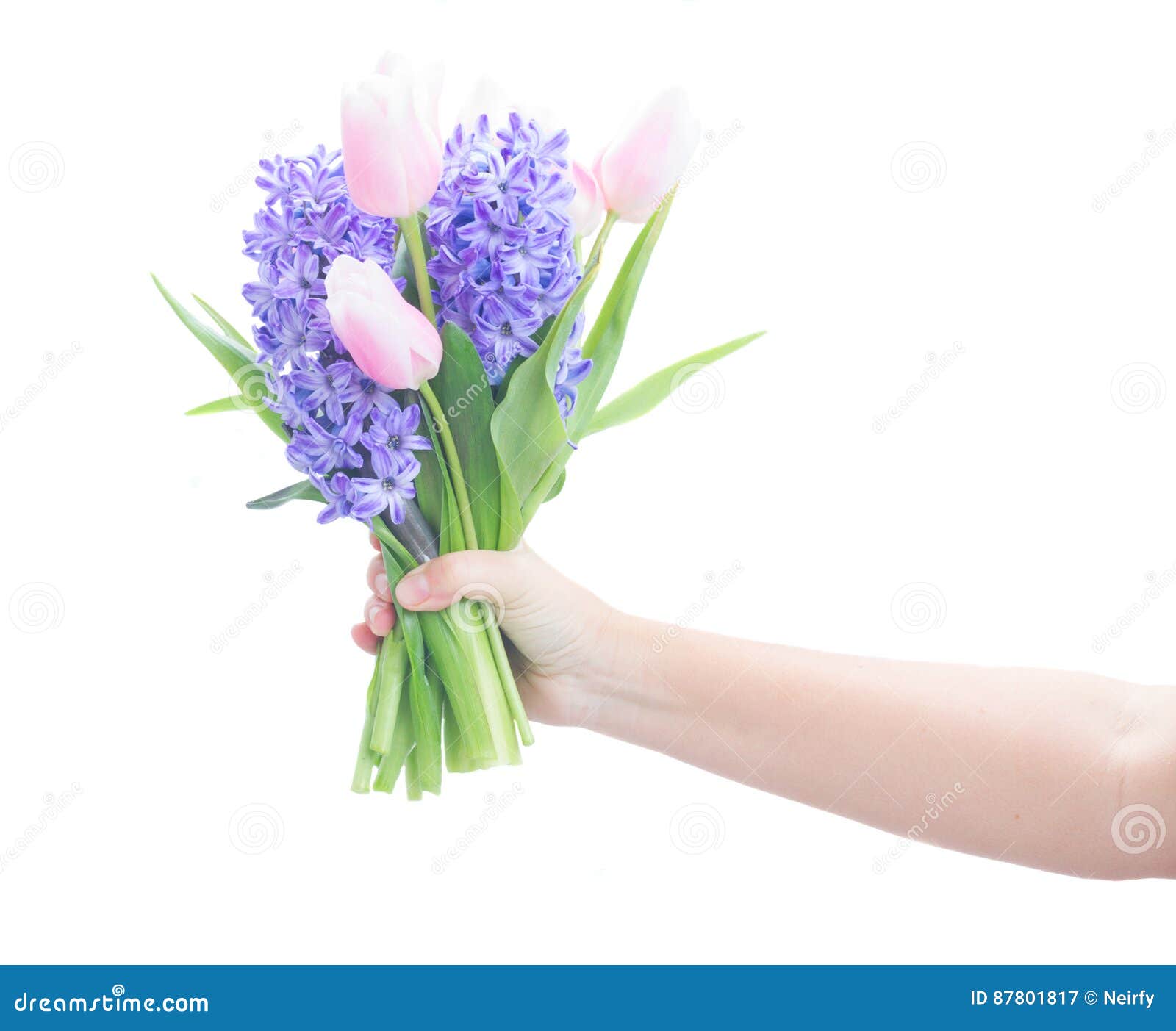 Hyacinths and tulips stock image. Image of flowers, hyacinths - 87801817